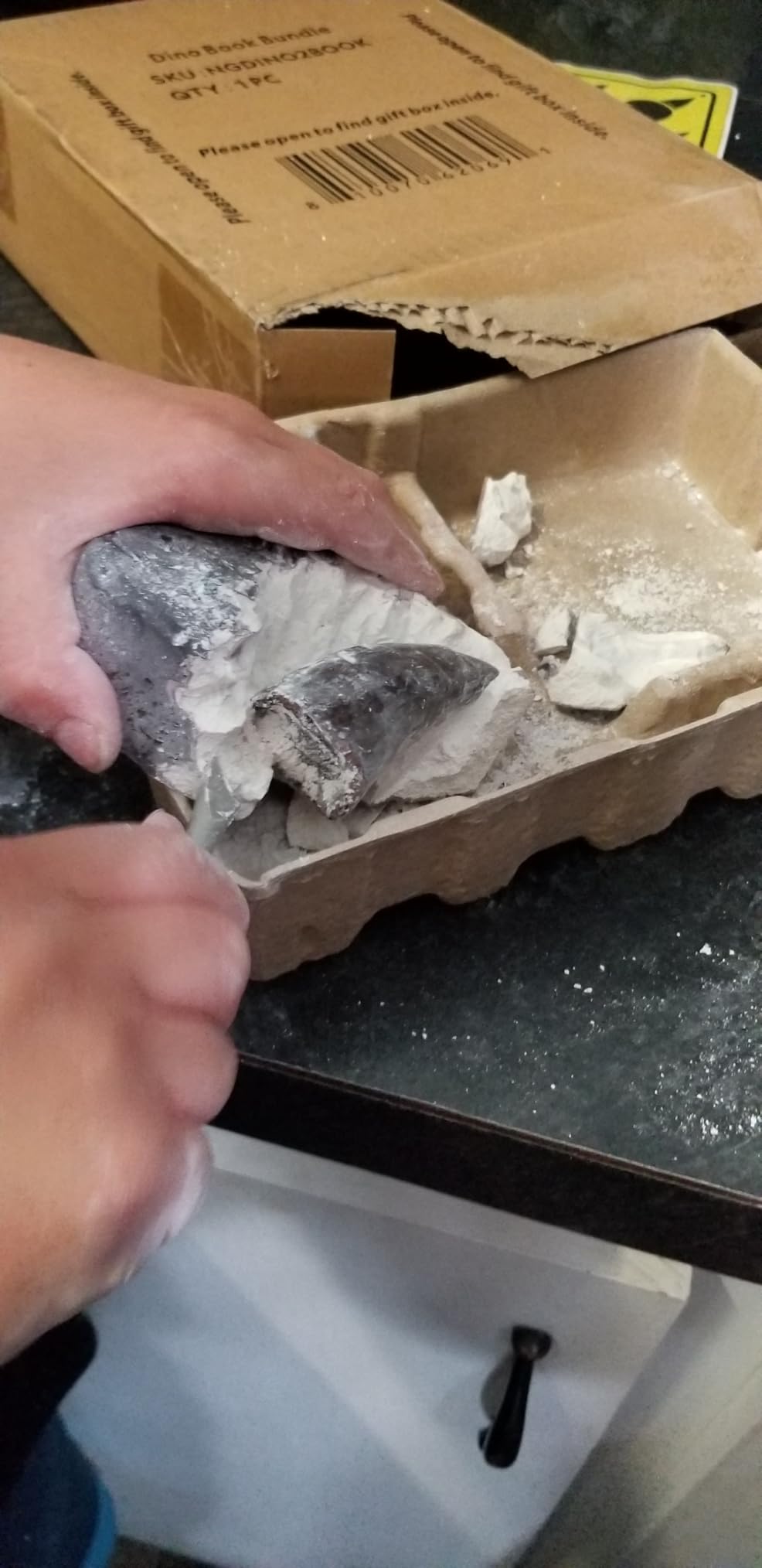 NATIONAL GEOGRAPHIC Dino Fossil Dig Kit & Dinosaur Book for Kids- Excavate a Replica Dinosaur Tooth Fossil and Study Paleontology with a Full-Color Dinosaur Activity Book for Kids (Amazon Exclusive) customer photo 1