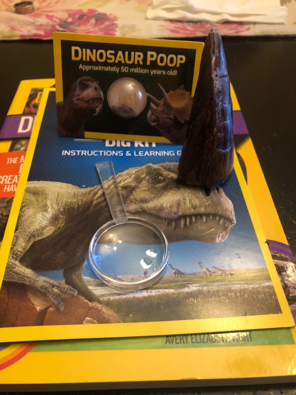 NATIONAL GEOGRAPHIC Dino Fossil Dig Kit & Dinosaur Book for Kids- Excavate a Replica Dinosaur Tooth Fossil and Study Paleontology with a Full-Color Dinosaur Activity Book for Kids (Amazon Exclusive) customer photo 2