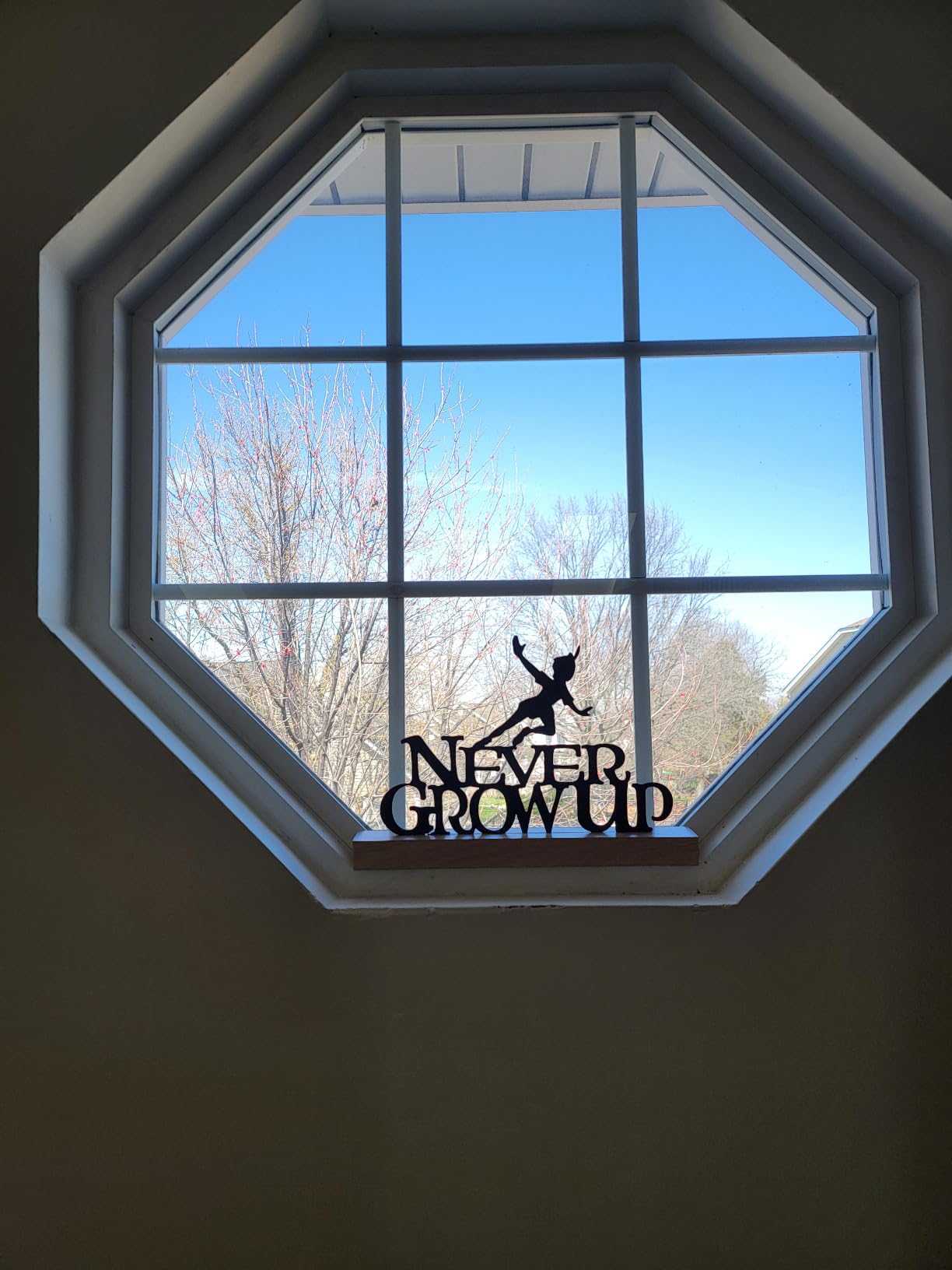 Disney Peter Pan Never Grow Up Tabletop Decor | Peter Pan Metal Silhouette on Natural Wood Base customer photo 1