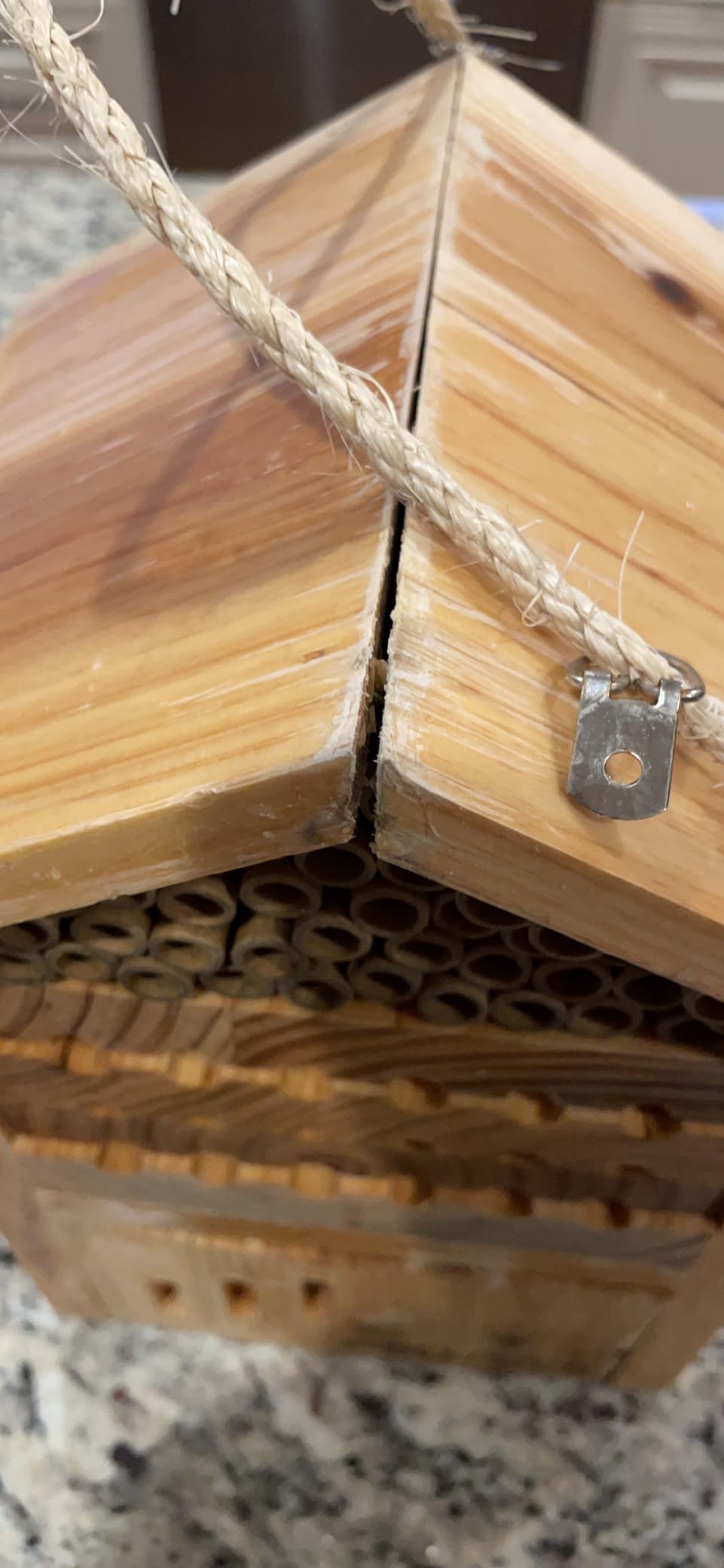 Mason Bee House - Wax Coated Mason House for The Garden, Natural Handmade Wooden Mason Home, Attracts Peaceful Bee Pollinators, Native Mason Bee Habitat customer photo 2
