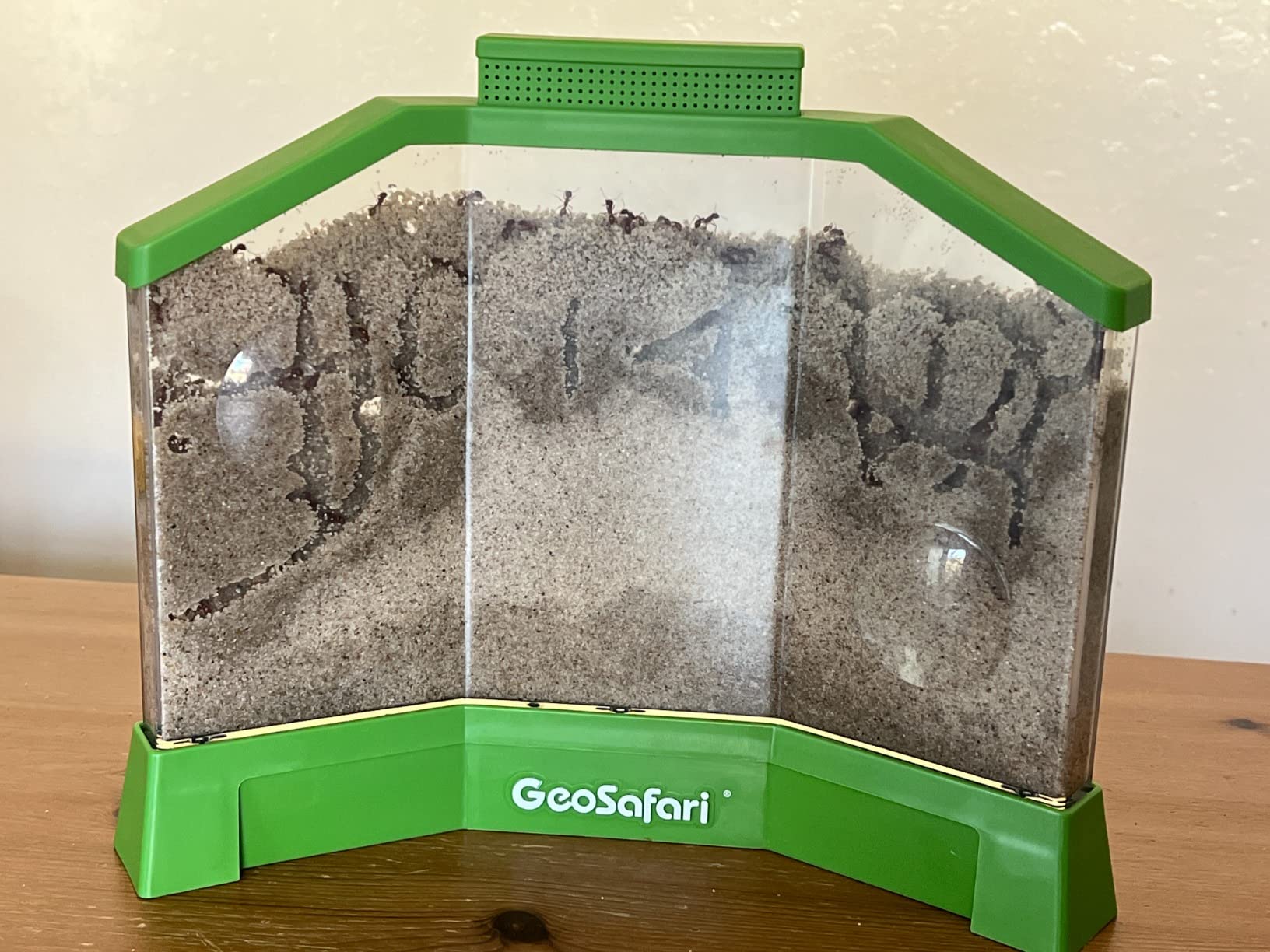 Educational Insights GeoSafari Ant Factory customer photo 1