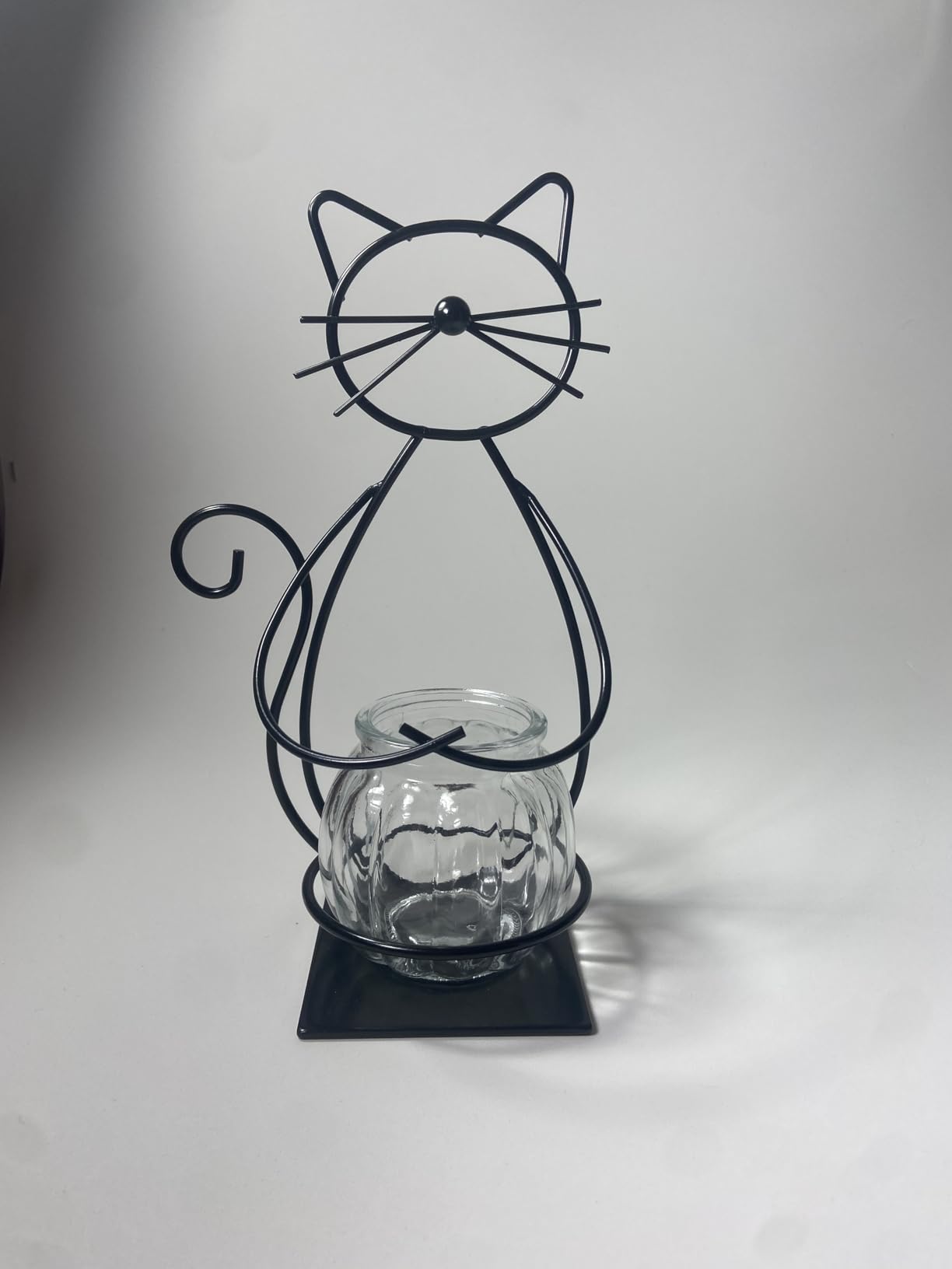 Desktop Cat Planter Propagation Station, Glass Vase Metal Stand customer photo 2