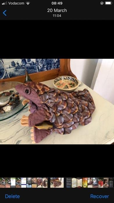 Folkmanis Pangolin Hand Puppet, Brown customer photo 1