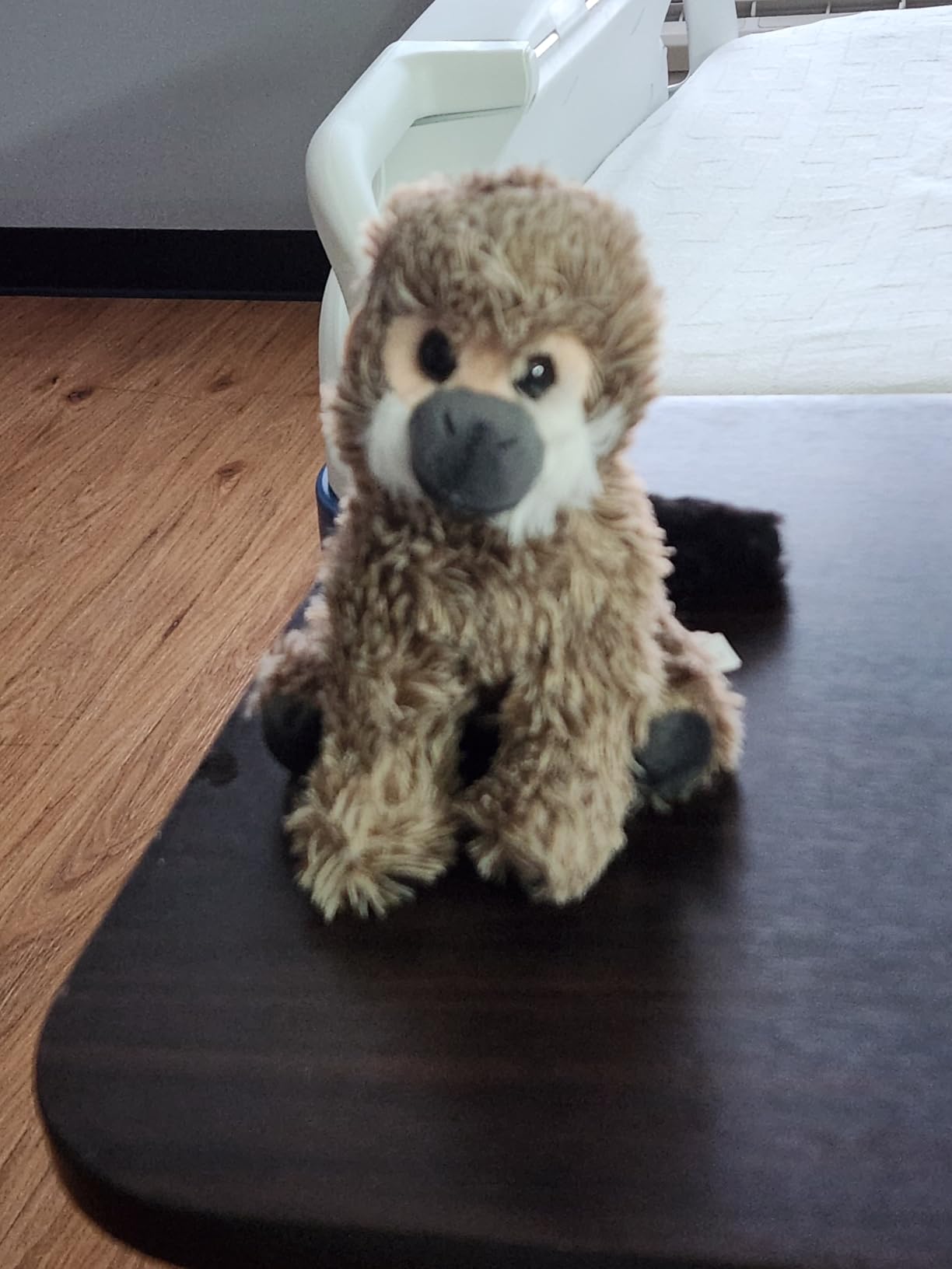 The Petting Zoo Cheetah Stuffed Animal Plushie, Babiez, Kids Gifts, 6 in | Wild Onez Cheetah Realistic Wildlife Zoo Animals by Zoologee customer photo 1