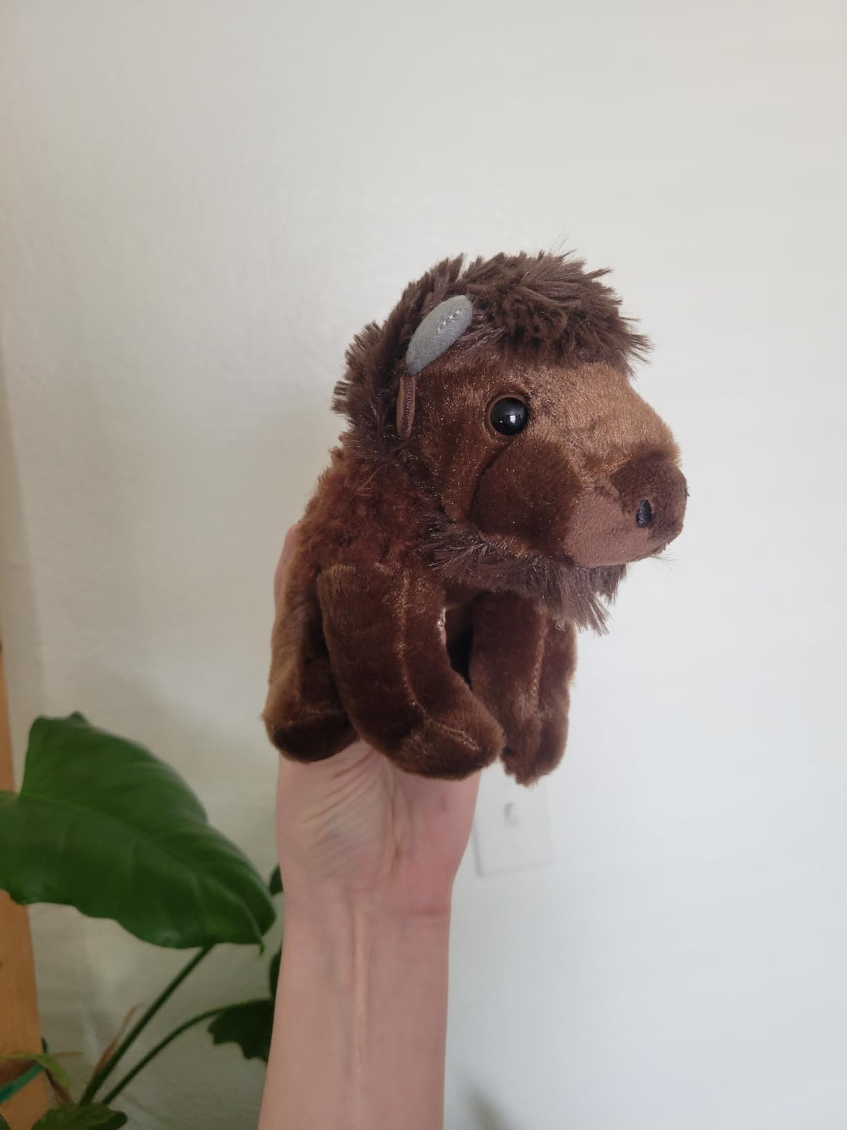 The Petting Zoo Cheetah Stuffed Animal Plushie, Babiez, Kids Gifts, 6 in | Wild Onez Cheetah Realistic Wildlife Zoo Animals by Zoologee customer photo 2