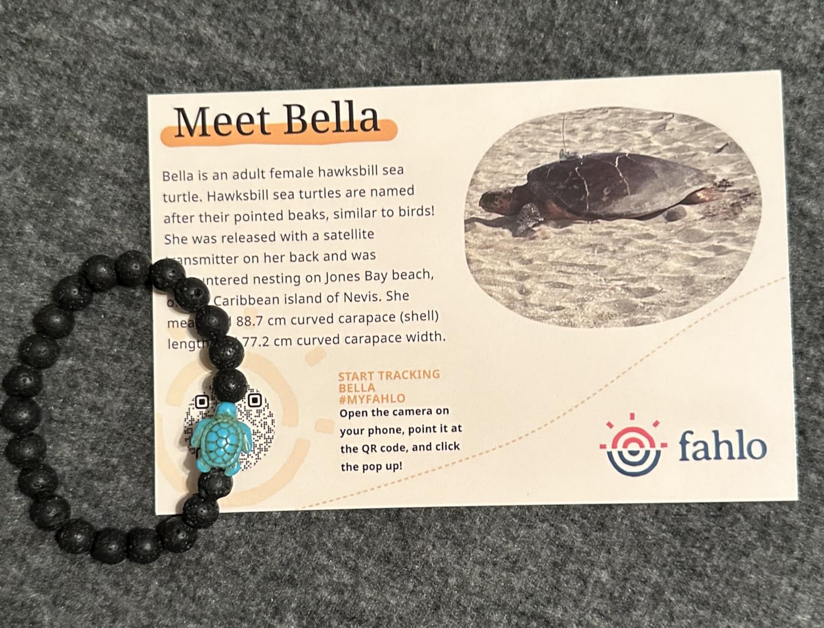 Fahlo Sea Turtle Tracking Bracelet - Track a Real Sea Turtle's Journey - Supports Wildlife Conservation customer photo 2
