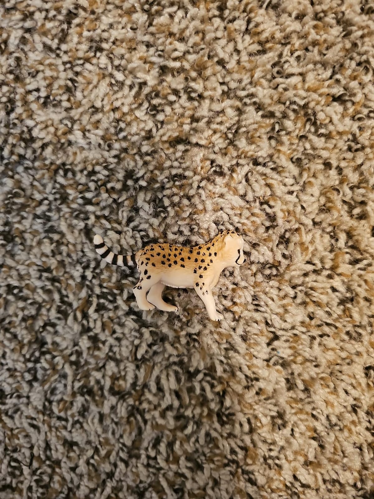 Schleich Wild Life - Wild Animal Safari Toys for Boys and Girls, Cheetah Cub Toy Figurine, Ages 3+ customer photo 2