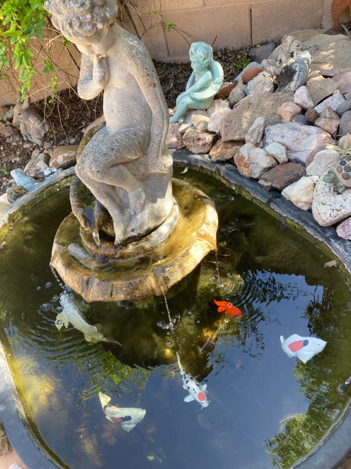 Koi Fish 15.5cm | Animal Figures | Kids Toys | Non-Toxic & BPA Free | Suitable for Children 3+ | Safari Ltd customer photo 2