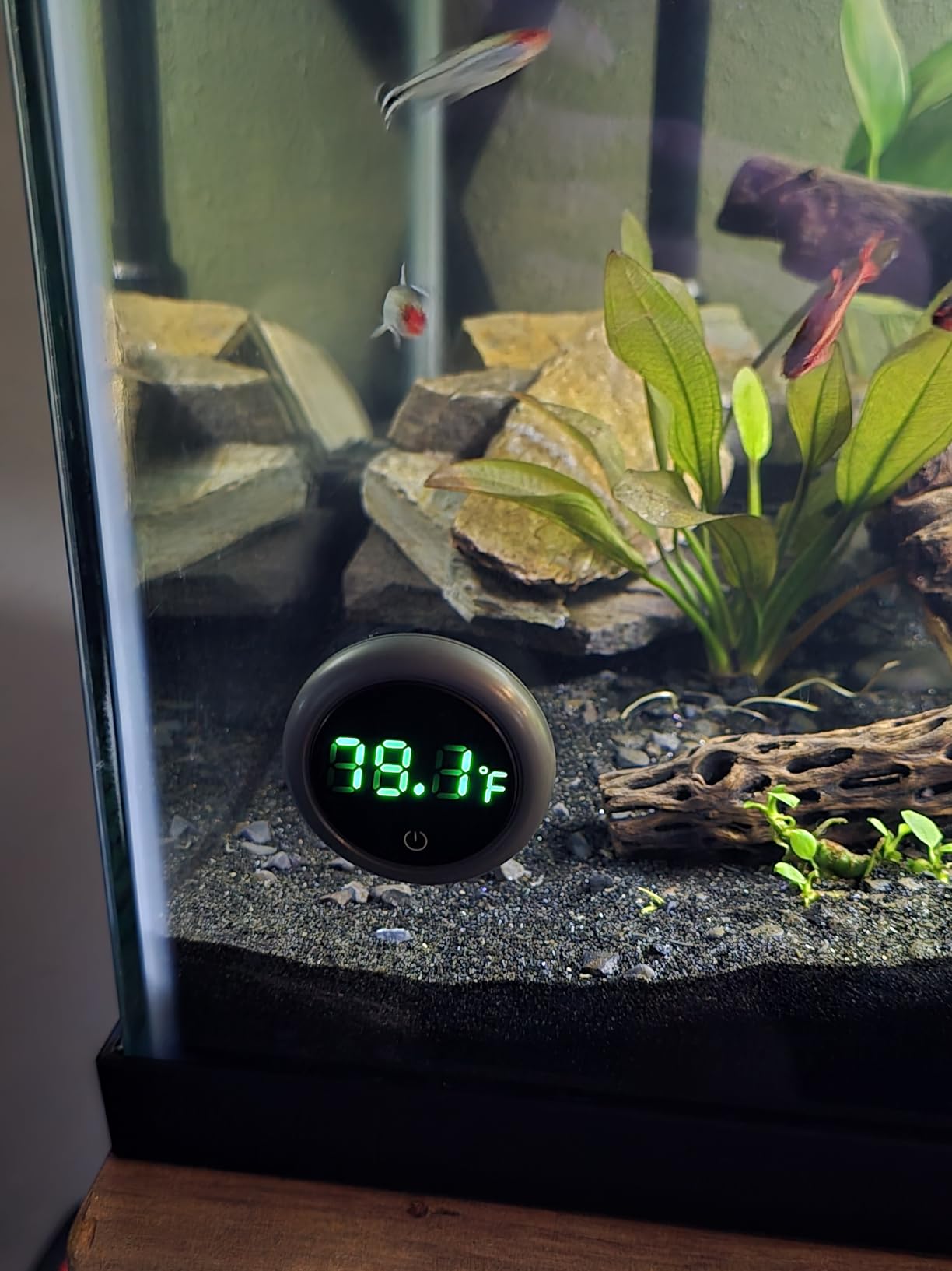 PAIZOO Aquarium Thermometer Digital with LED Display, 8000h Battery, Range 0-140°F customer photo 1