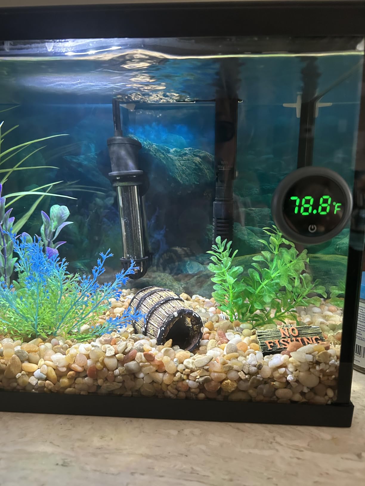 PAIZOO Aquarium Thermometer Digital with LED Display, 8000h Battery, Range 0-140°F customer photo 2