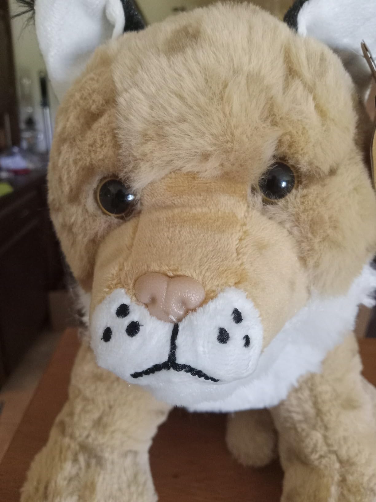 The Petting Zoo Cat Lynx Stuffed Animal Plush, Wild Onez, Kids Gifts, 12 in customer photo 2