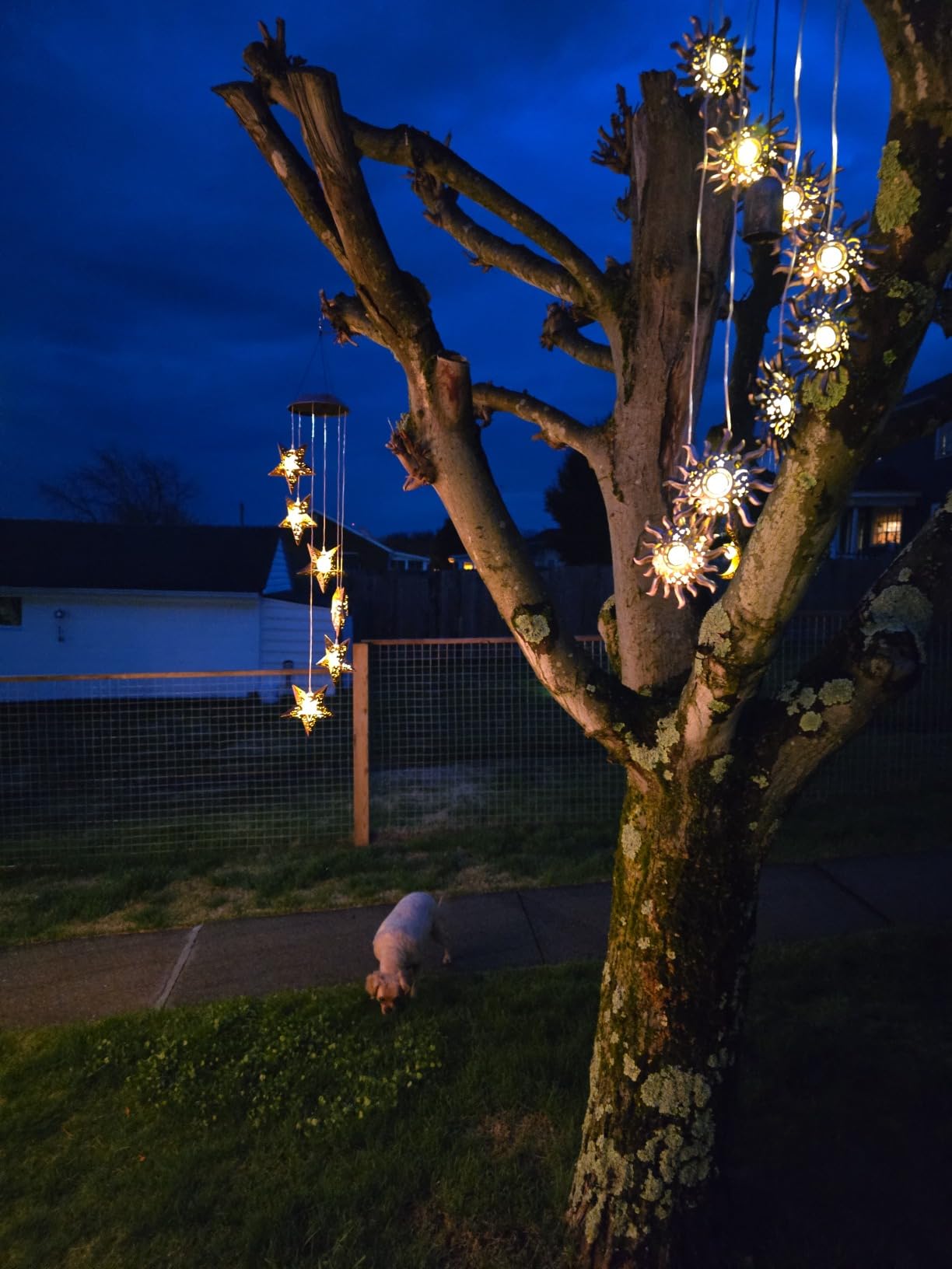 8 LED Solar Upgrade Owl Wind Chimes, Outdoor, Warm LED Owl Decor | Mom Gifts, Mothers Day, Grandma, Wife, Gift, for Outside, Christmas customer photo 2