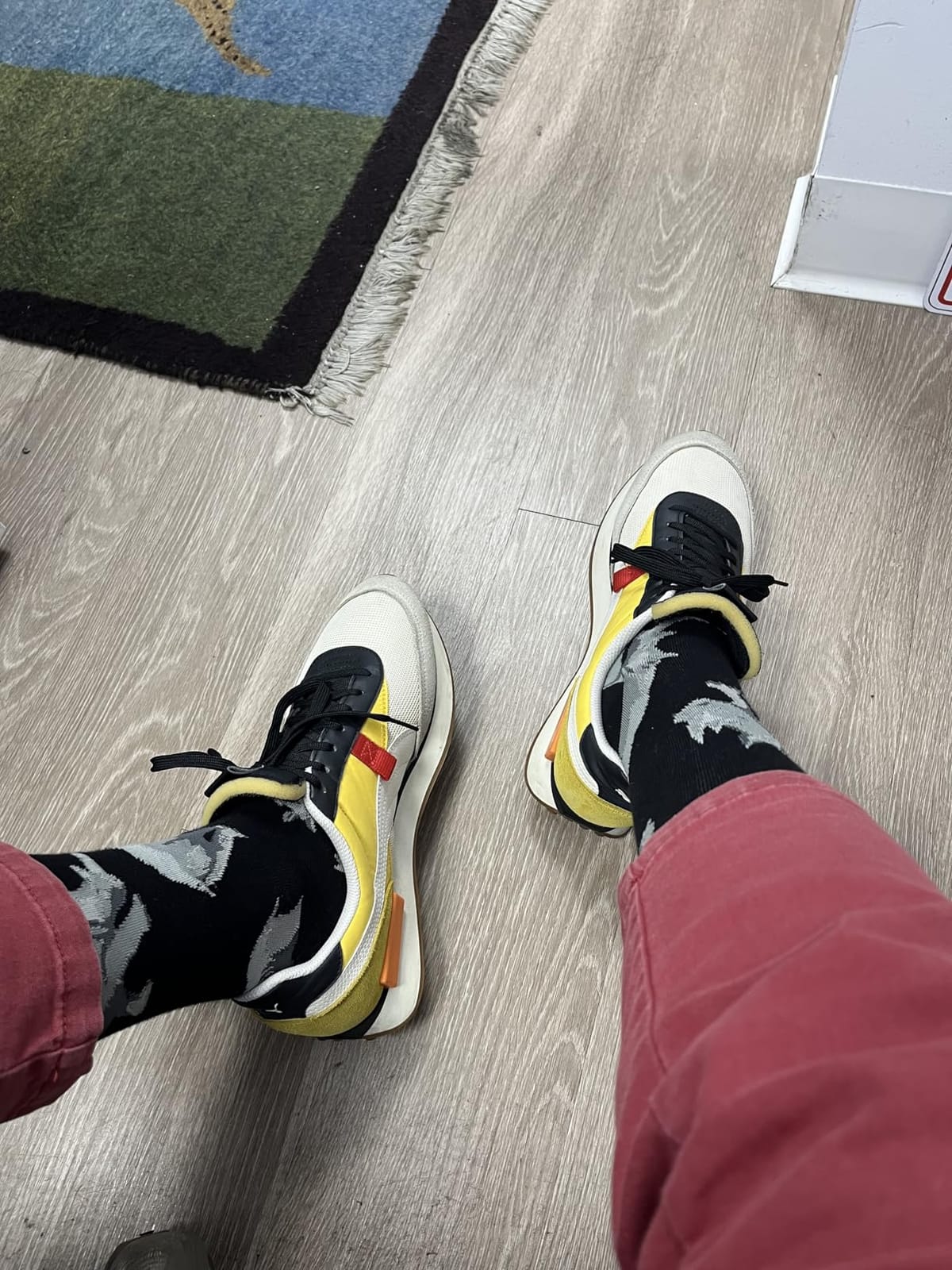 FUNATIC Animal and Nature Socks - Novelty Gifts for Wildlife Lovers | One Size Fits Most, Premium Cotton Blend, Soft, Fun Gift for Women and Men, Animal Novelty Socks customer photo 2