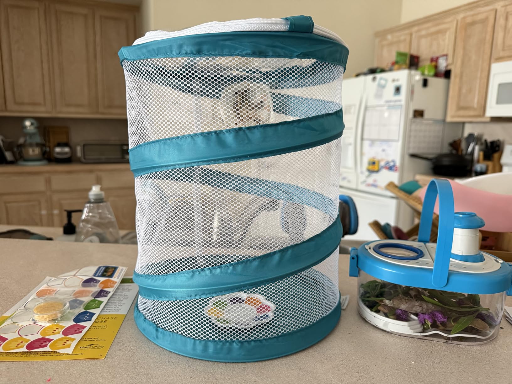 National Geographic Bug Catcher Kit and Outdoor Insect Habitat for Kids | 360-Degree Viewer, 2 Magnifying Lenses, Catching Net, Tweezers, Outdoor Exploration Toy, Insect Science, Birthday Gift customer photo 1