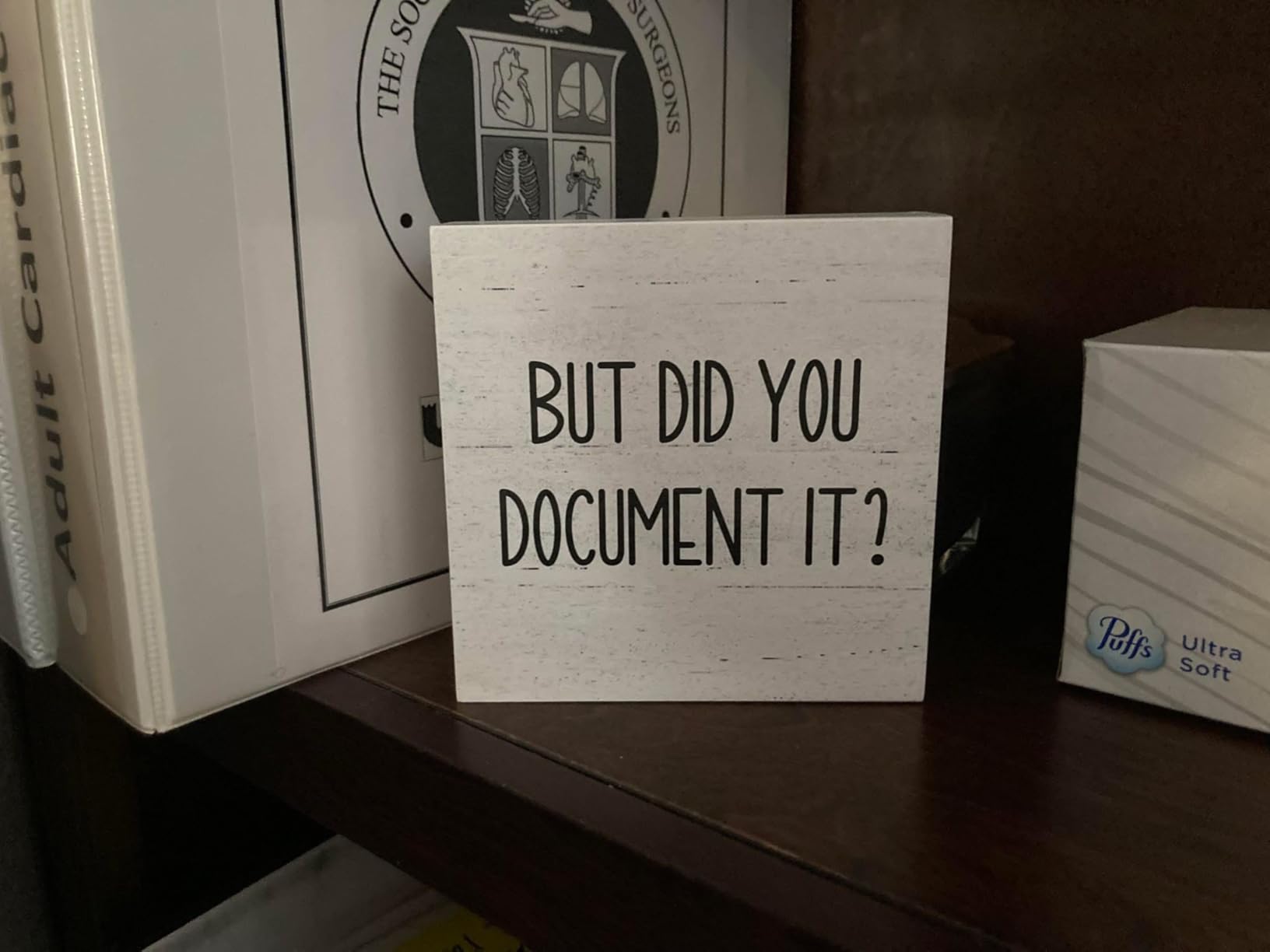 But Did You Document It Office Decor Wooden Box Sign Decorative Funny Office Wood Box Sign Home Rustic Farmhouse Square Desk Decor Sign for Shelf Office Desk Accessories 5 x 5 Inches customer photo 1