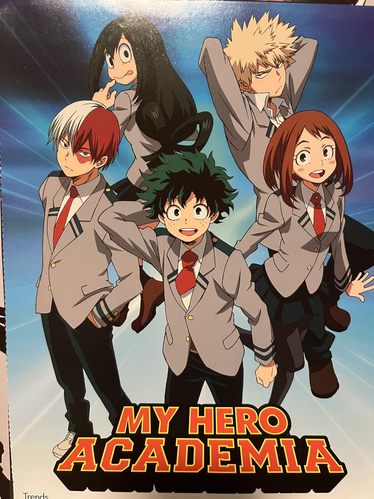 My Hero Academia Poster Set - Room Decor Bundle with 12 Anime Wall Art Posters 8
