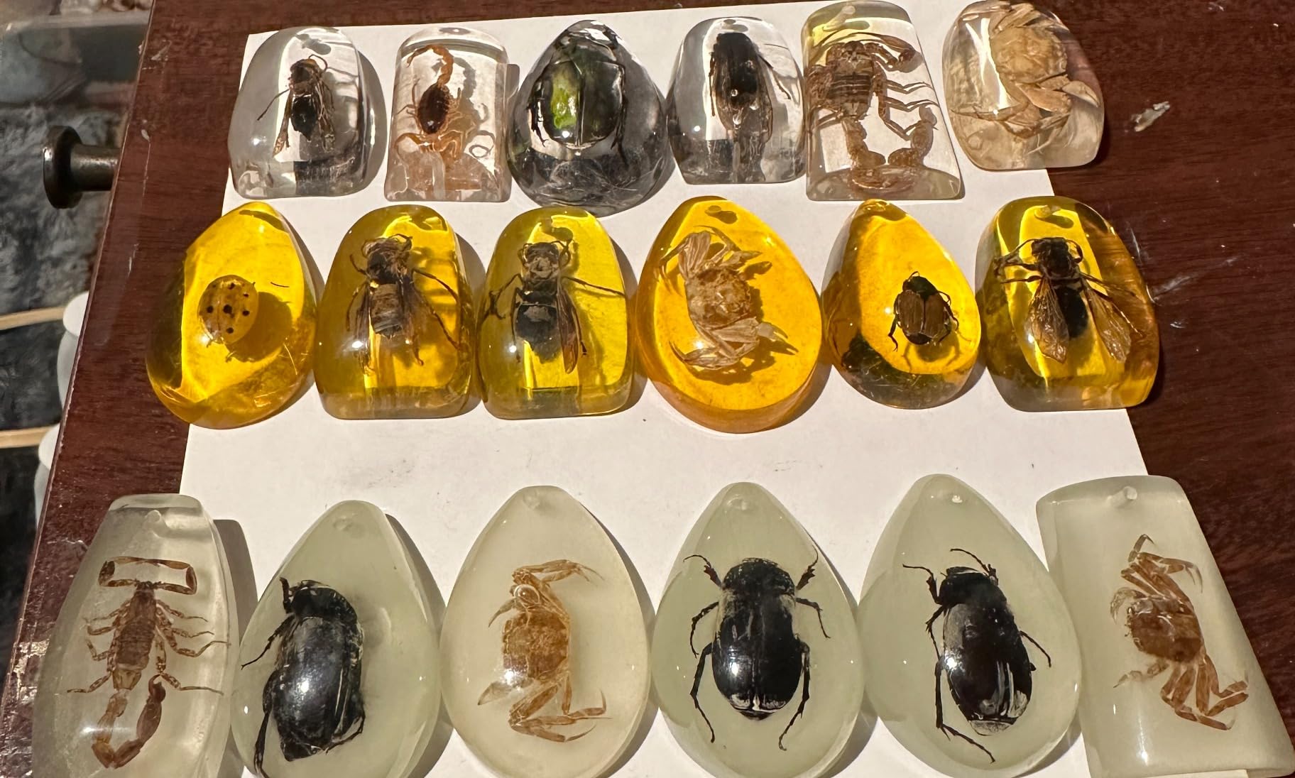 18 pcs Insect Amber Fossils, BOSOIRSOU Fossil Pendants, Different Insect Specimen, Bug Preserved in Resin, Educational and Scientific Amber Collections - Random Patterns customer photo 1