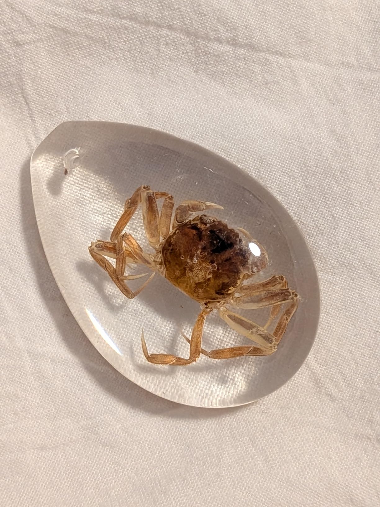 18 pcs Insect Amber Fossils, BOSOIRSOU Fossil Pendants, Different Insect Specimen, Bug Preserved in Resin, Educational and Scientific Amber Collections - Random Patterns customer photo 2