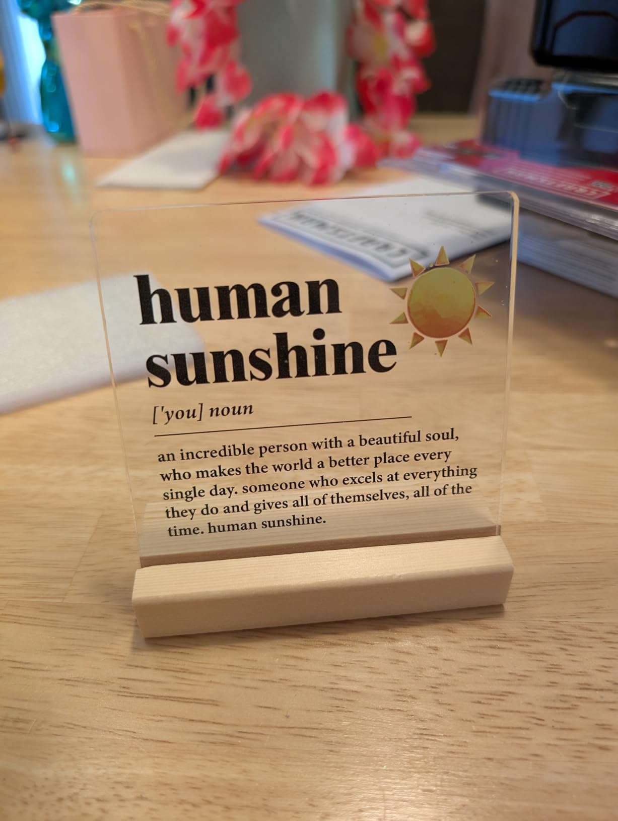Human Sunshine Motivational Gift for Women Men, Employee Appreciation, Coworker Leader Teacher Coach Mentor, Definition Acrylic Desk Sign Decor customer photo 1