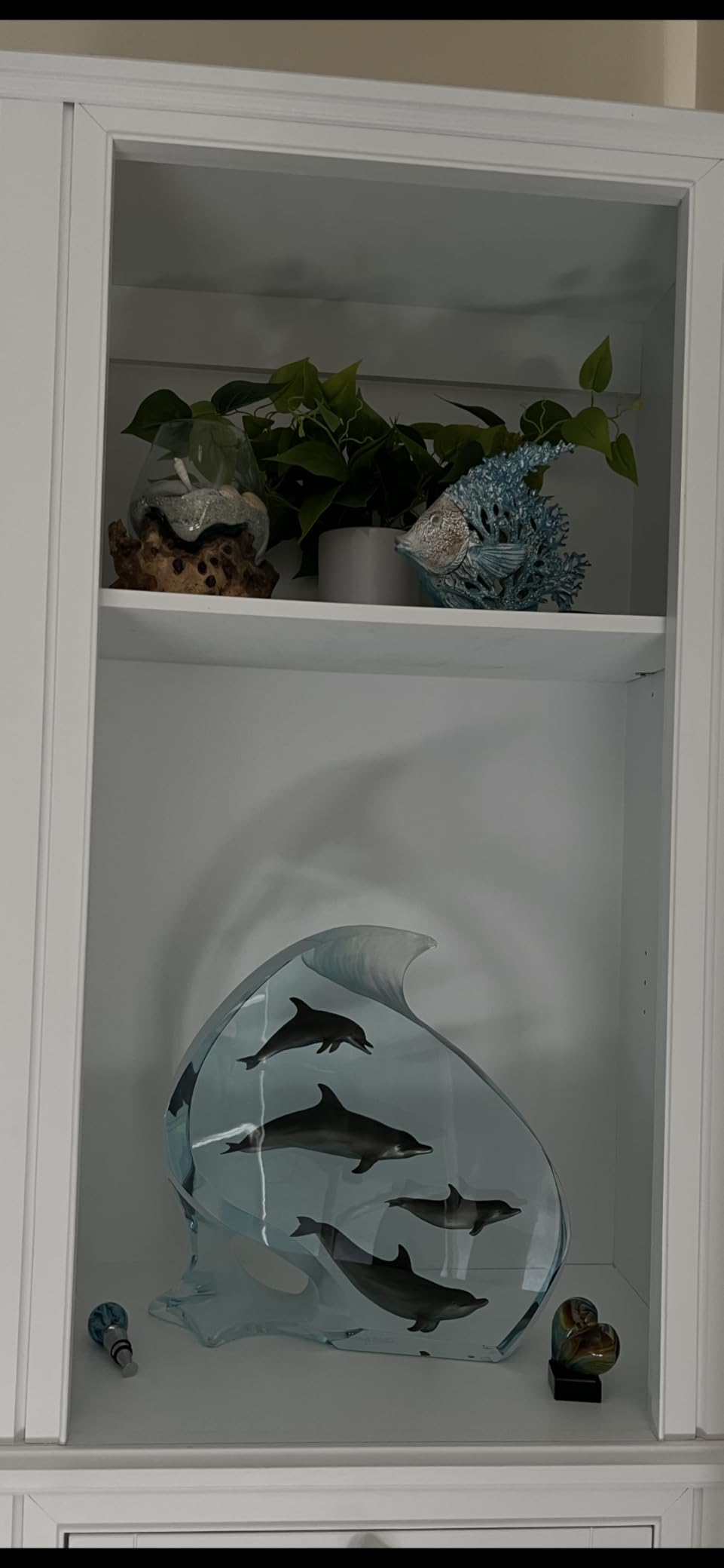 VVGIFTS Beach Coastal Coral Reef Angelfish Home Office Bathroom Decor Gift customer photo 1