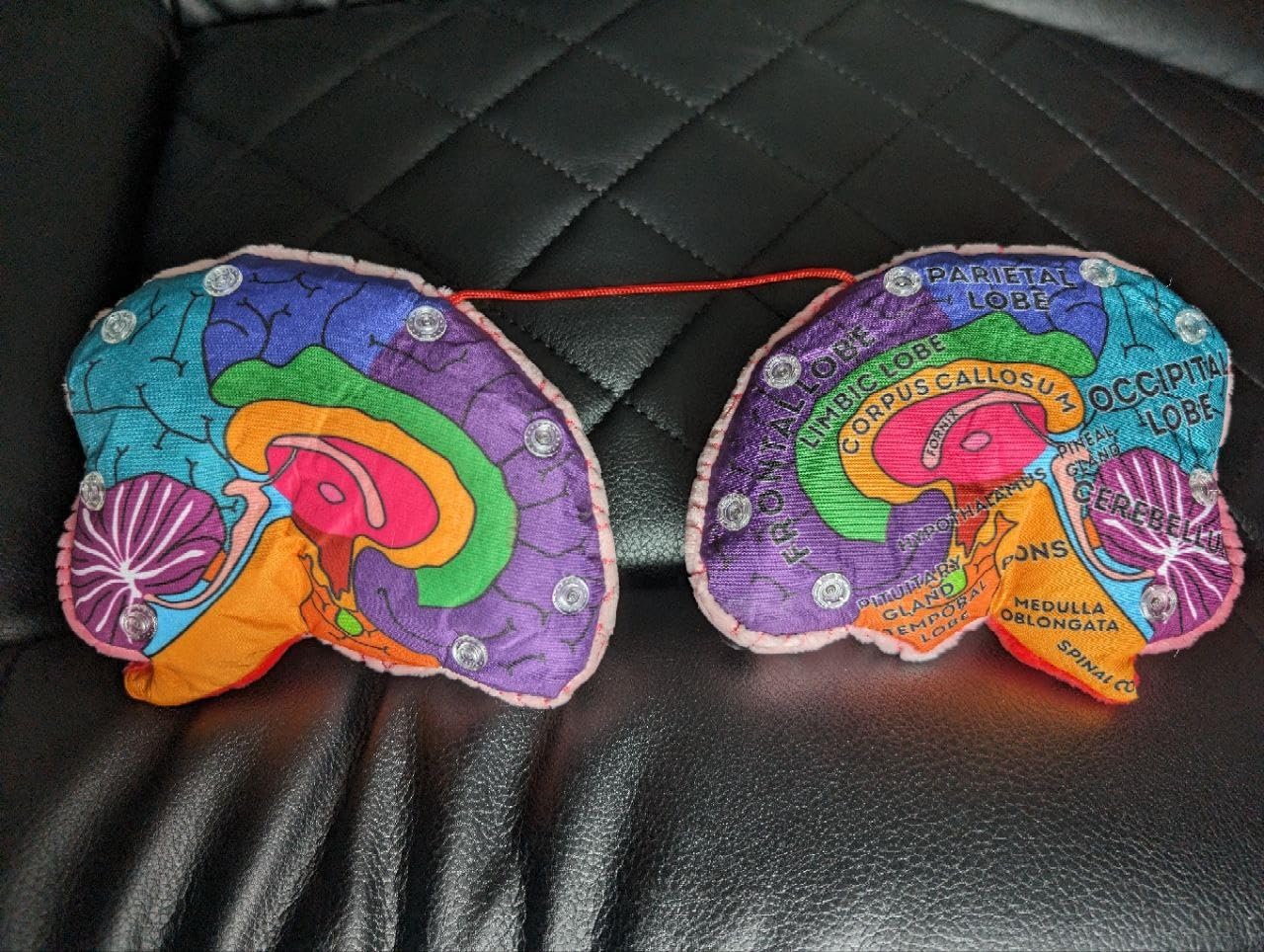 GIANTmicrobes Brain Model Anatomy Plush with Embroidered Details | 7