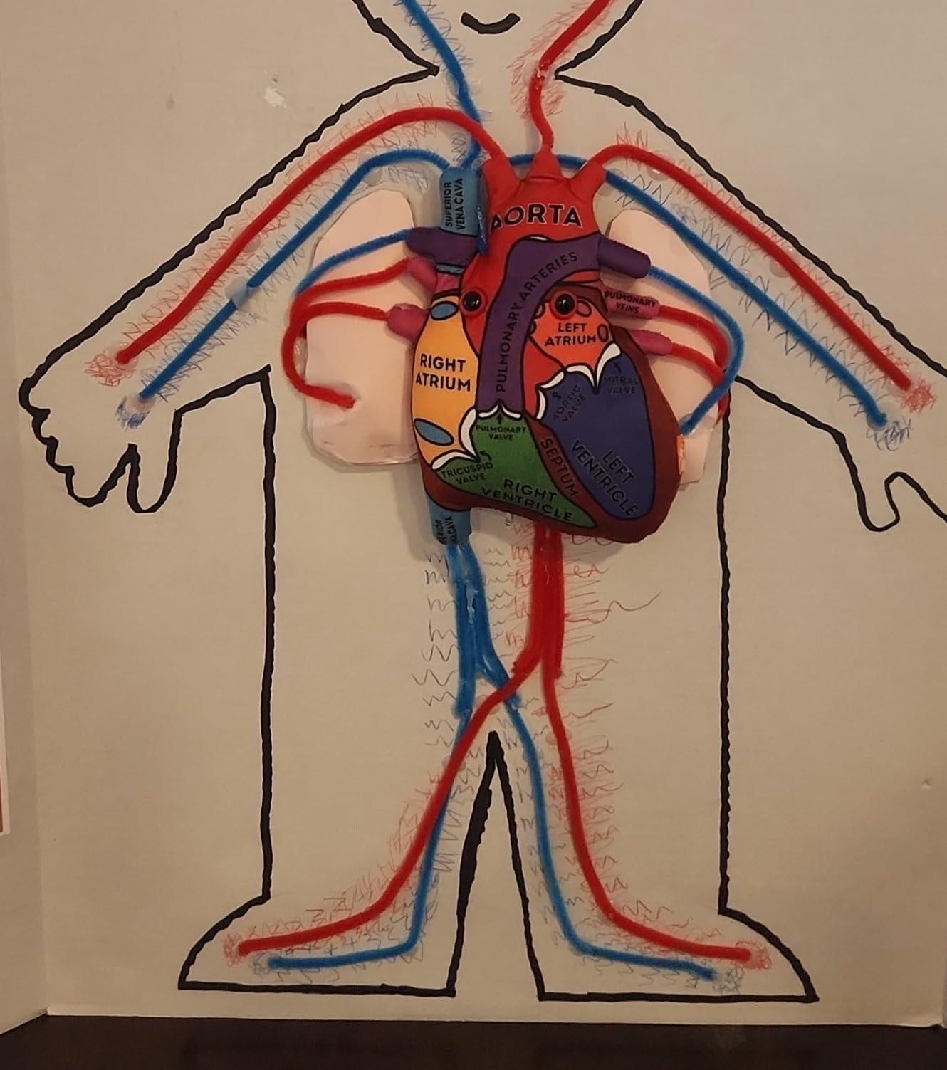 GIANT MICROBES Heart Model, Anatomical Heart Plush with Embroidered Details | 8