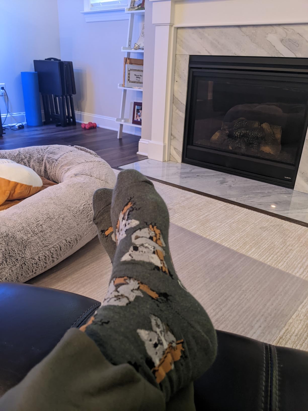 Good Luck Sock Women's Animal & Wildlife Socks, Adult customer photo 1