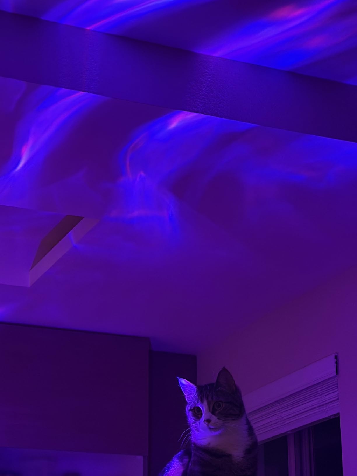 Galaxy Projector Night Light - 18-Color Teen Girl Gifts - 4-IN-1 Sunset Projector customer photo 2