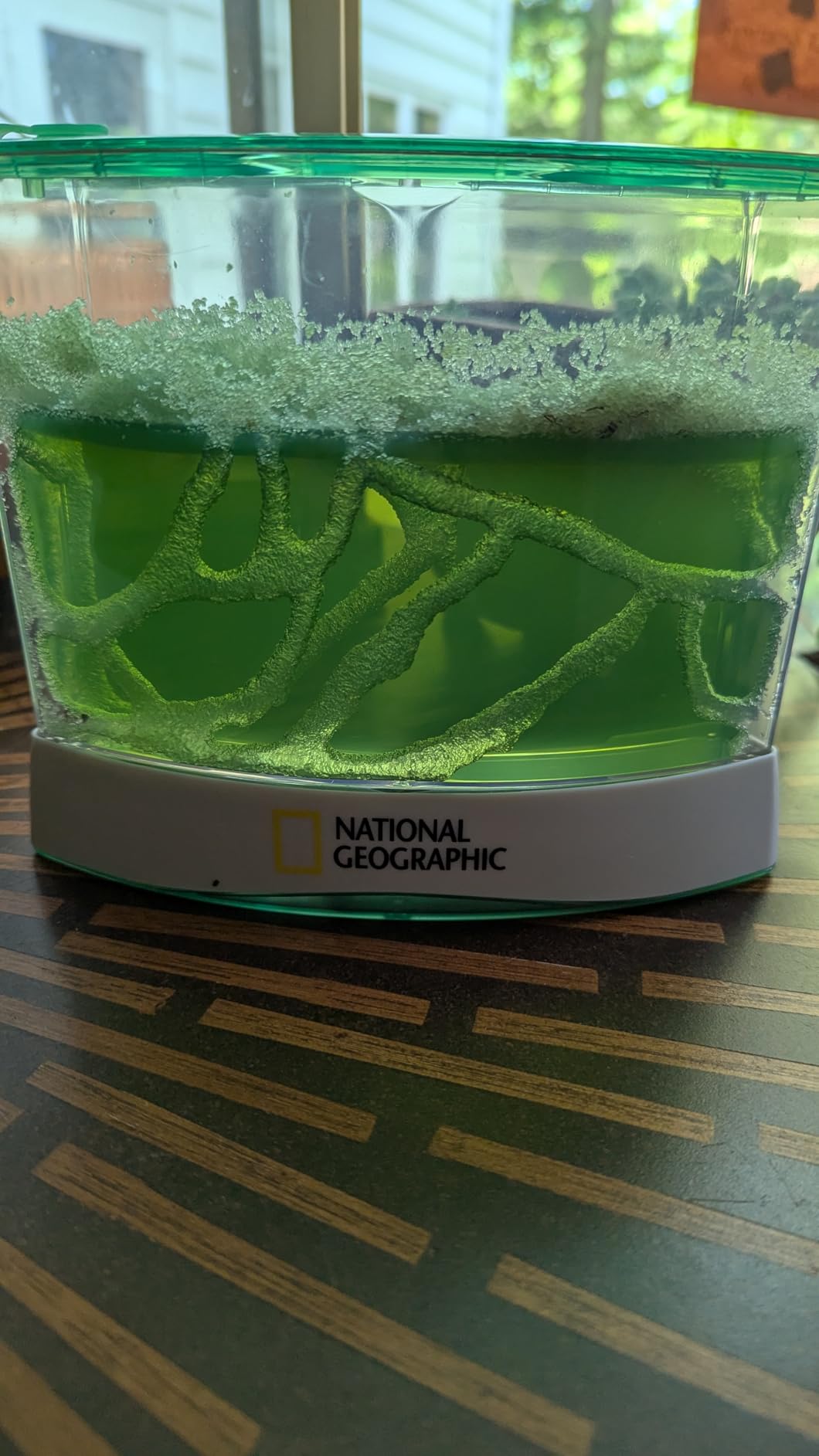 National Geographic Light-Up Ant Habitat Kit for Kids with Magnifiers | Light-Up Ant Terrarium, Built-In Magnifiers, Tunnel Starter Tool, 360-Degree Viewing, Insect Habitat, STEM Activity customer photo 1