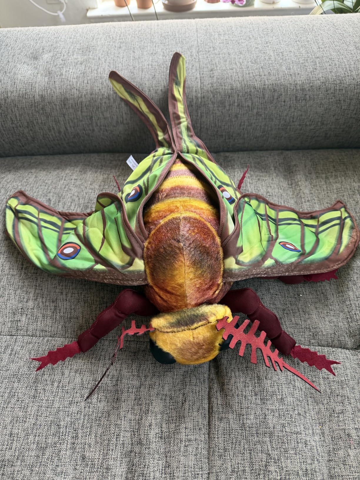 Luna Moth Plush Toy, Lifelike Luna Moth Stuffed Animals 11in, Realistic Soft Big Moth Plushie Model Toy, Unique Plush Gift Collection for Kids customer photo 1