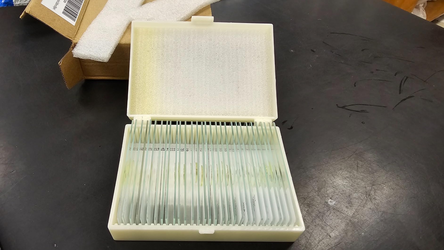 120 Microscope Slides with Specimens, Plant, Insect, Animal, Algae Slide Set for Biological Science Laboratory Basic Biological Science Education customer photo 1