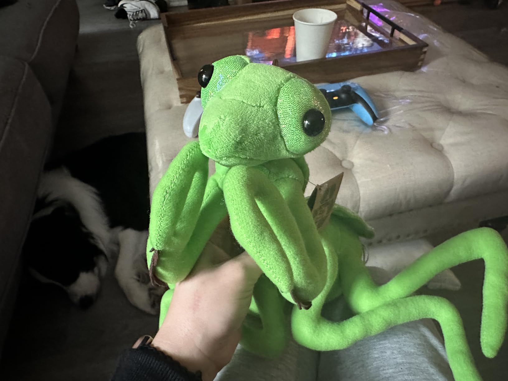 The Petting Zoo Green Praying Mantis Stuffed Animal Plush, Wild Onez, 12 in customer photo 2