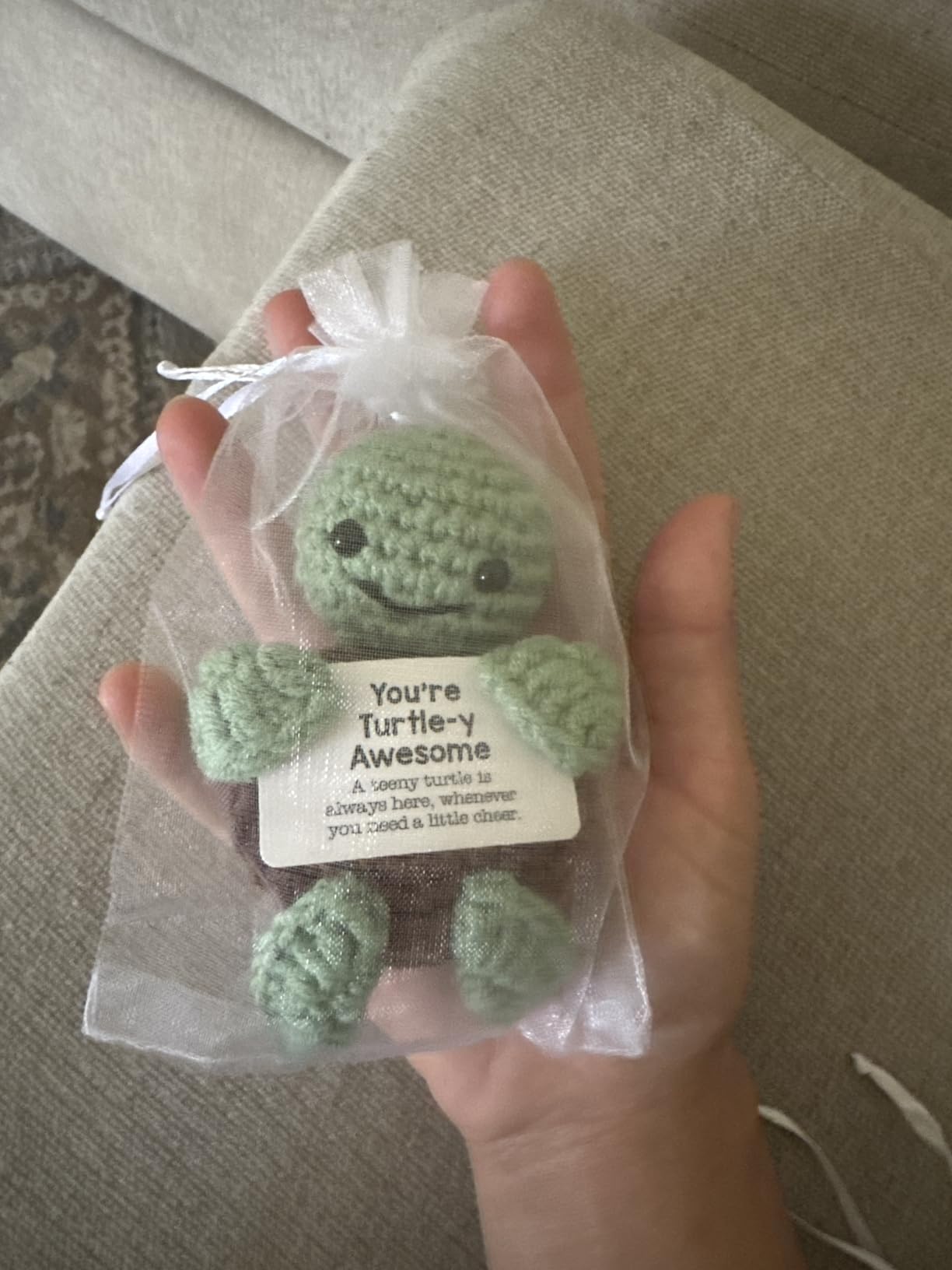 Mini Funny Turtle Birthday Gifts for Women Men Her Him, Teacher Appreciation Back to School for Students Boss Lady Gifts for Bosses Day, Small Cute Stuff Things,Emotional Positive Crochet Turtle Decor customer photo 1