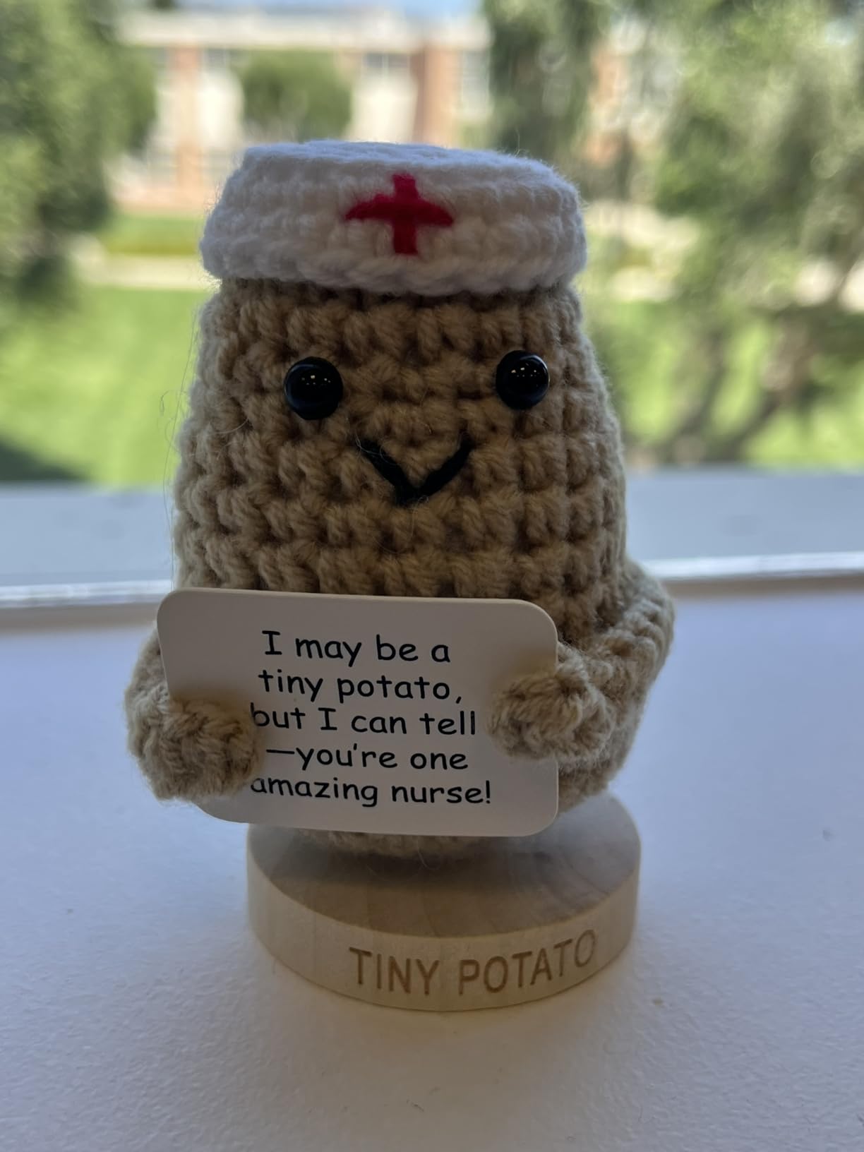 Doctor Gifts for Women & Men - Funny Crochet Potato with 30 Encouraging Signs - Doctor Appreciation Gift, Desk Decor & Thank You Present for Doctors, Med Students Graduation, Doctors Day & Retirement customer photo 1