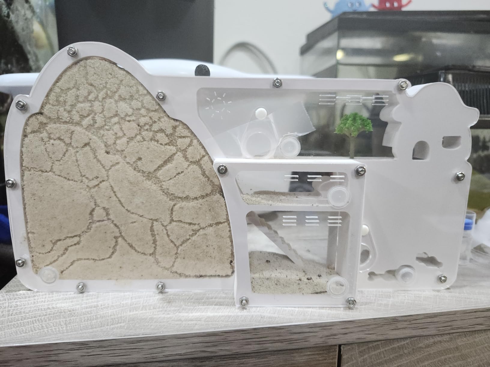 Ant Farm Castle - Large Viewing Area - Care for Live Ants - Ant Colony Observation Kits with Sand Habitat - Educational Science Gifts for Boys, Girls - Ant Farms for Kids, Adults, Student (Yellow) customer photo 2