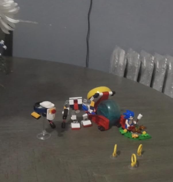 LEGO Sonic the Hedgehog : Sonic's Campfire Clash, Collectible Gaming Toy for Kids and Video Game Fans, Fun Buildable Playset for Boys and Girls Aged 7 and Up 77001 customer photo 1