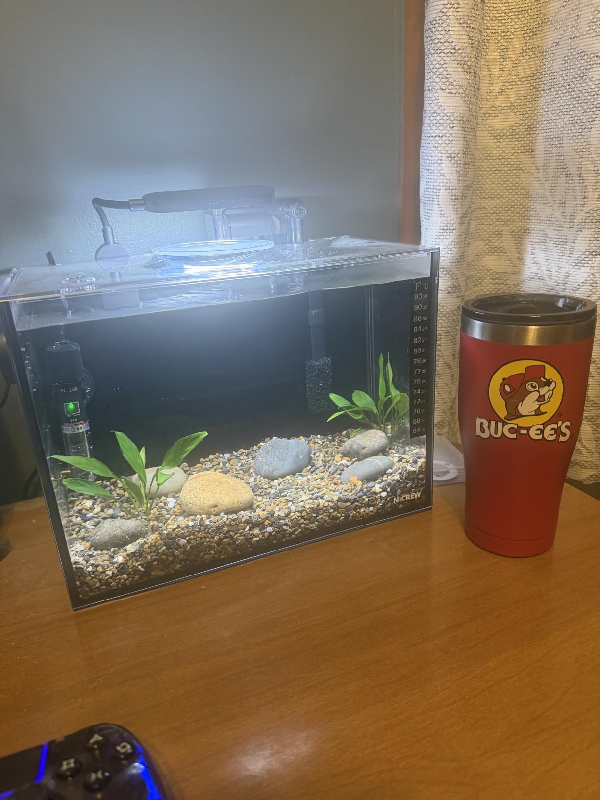 NICREW 2.5 Gallon Nano Nature Aquarium Kit, Ultra-Clear Rimless Desktop Fish Tank with Light and Filter, Perfect for Small Fish, Shrimp, or Betta, Basic Version, Black customer photo 1