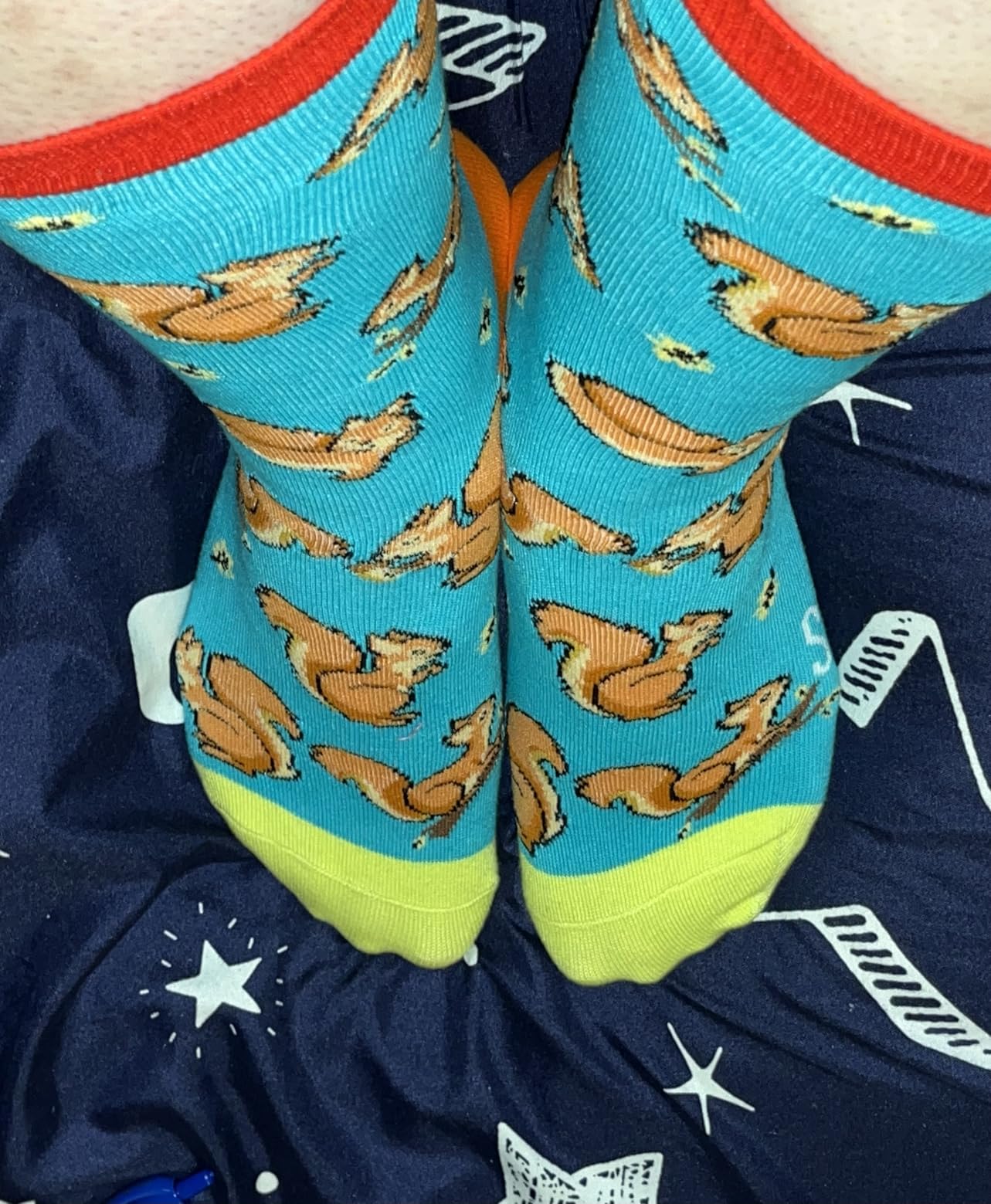 HAPPYPOP Funny Socks for Women - Tiger Koala Panda Gifts, Squirrel Elephant Dragon Socks customer photo 1