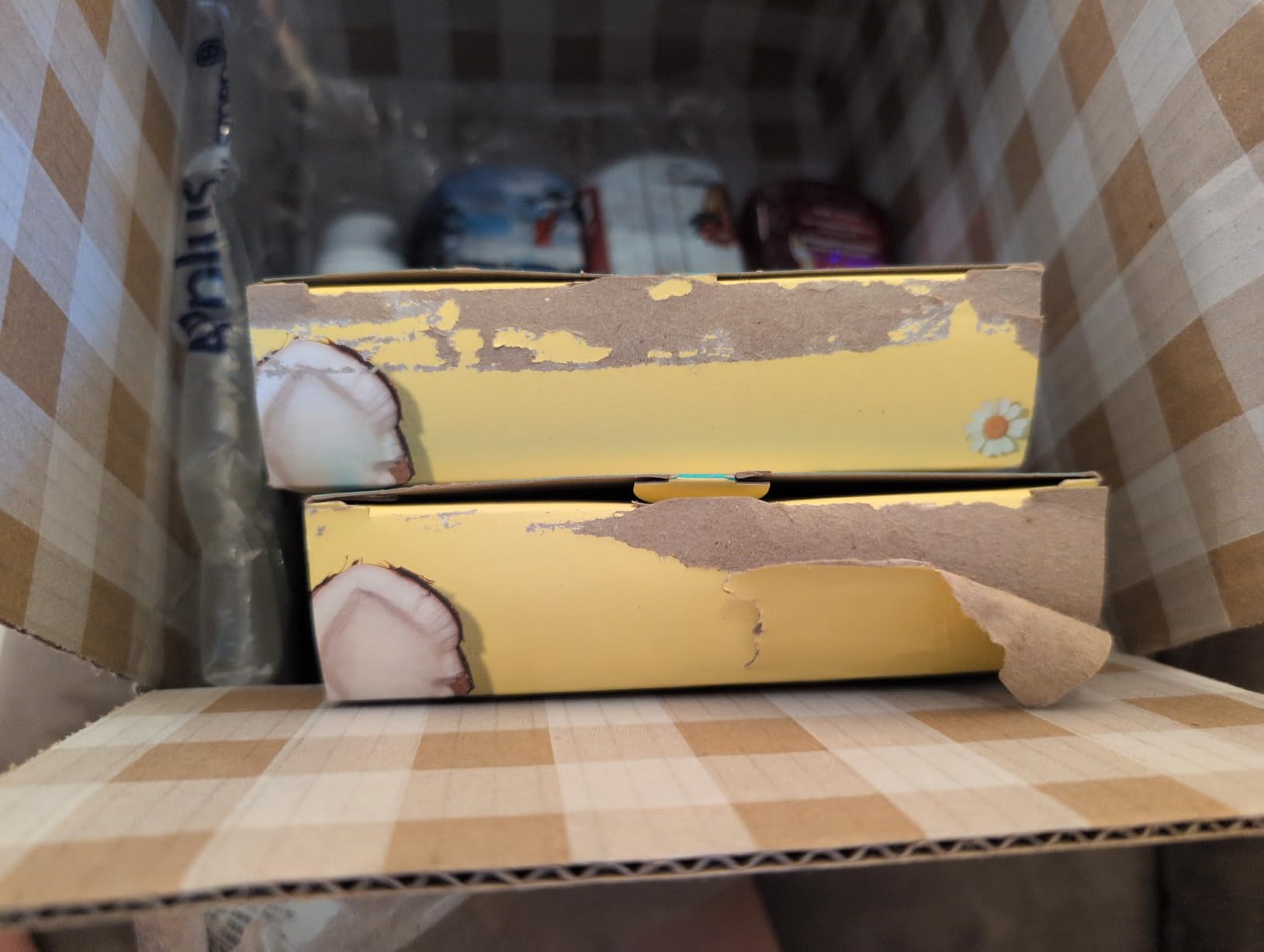 Burt's Bees Essentials Kit Gift Set, 5 Travel Size Products | Deep Cleansing Cream, Hand Salve, Body Lotion, Foot Cream and Original Lip Balm, Skin Care Essentials customer photo 1