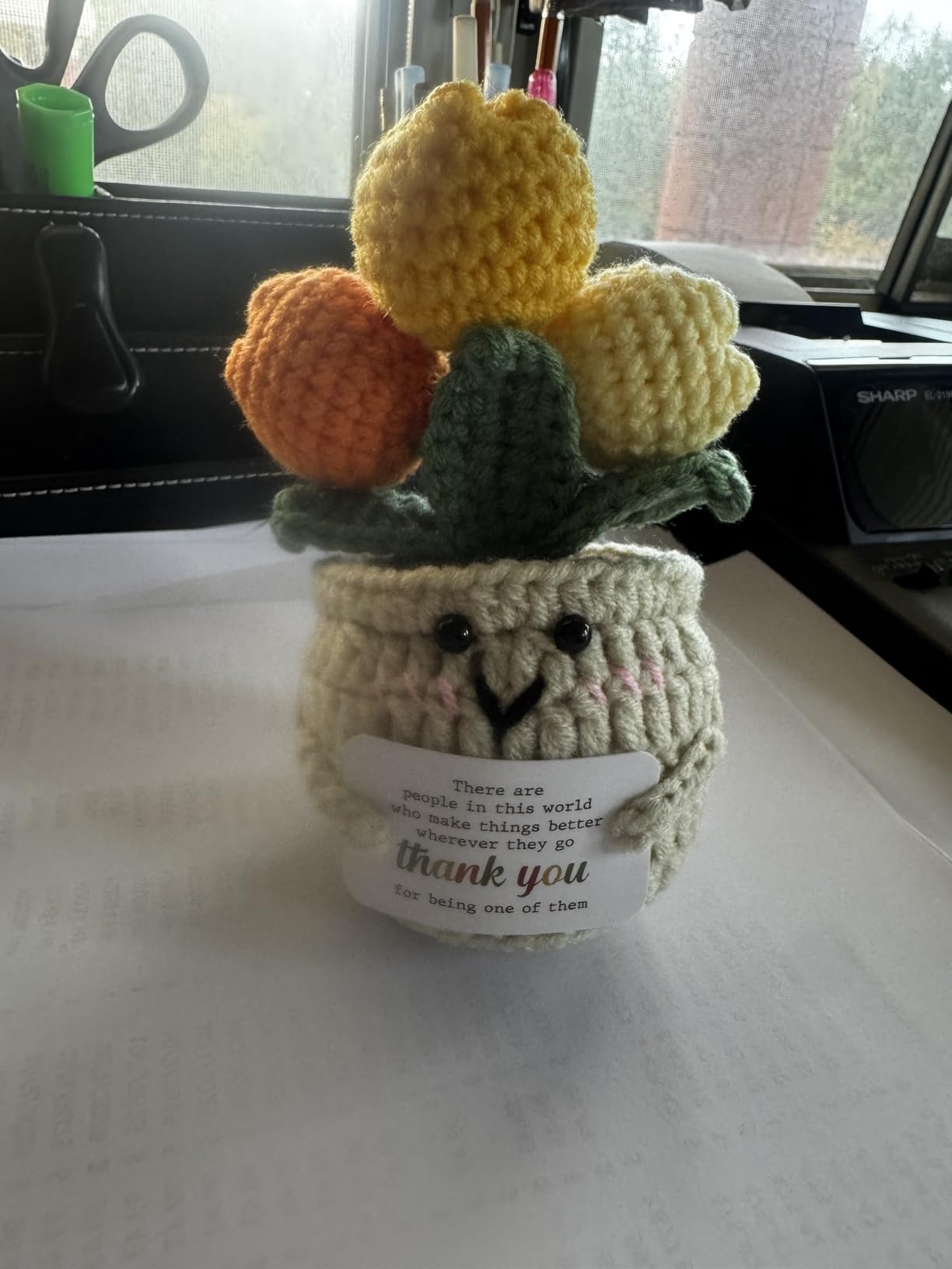 Positive Crochet Tulip Teacher Gift customer photo 2