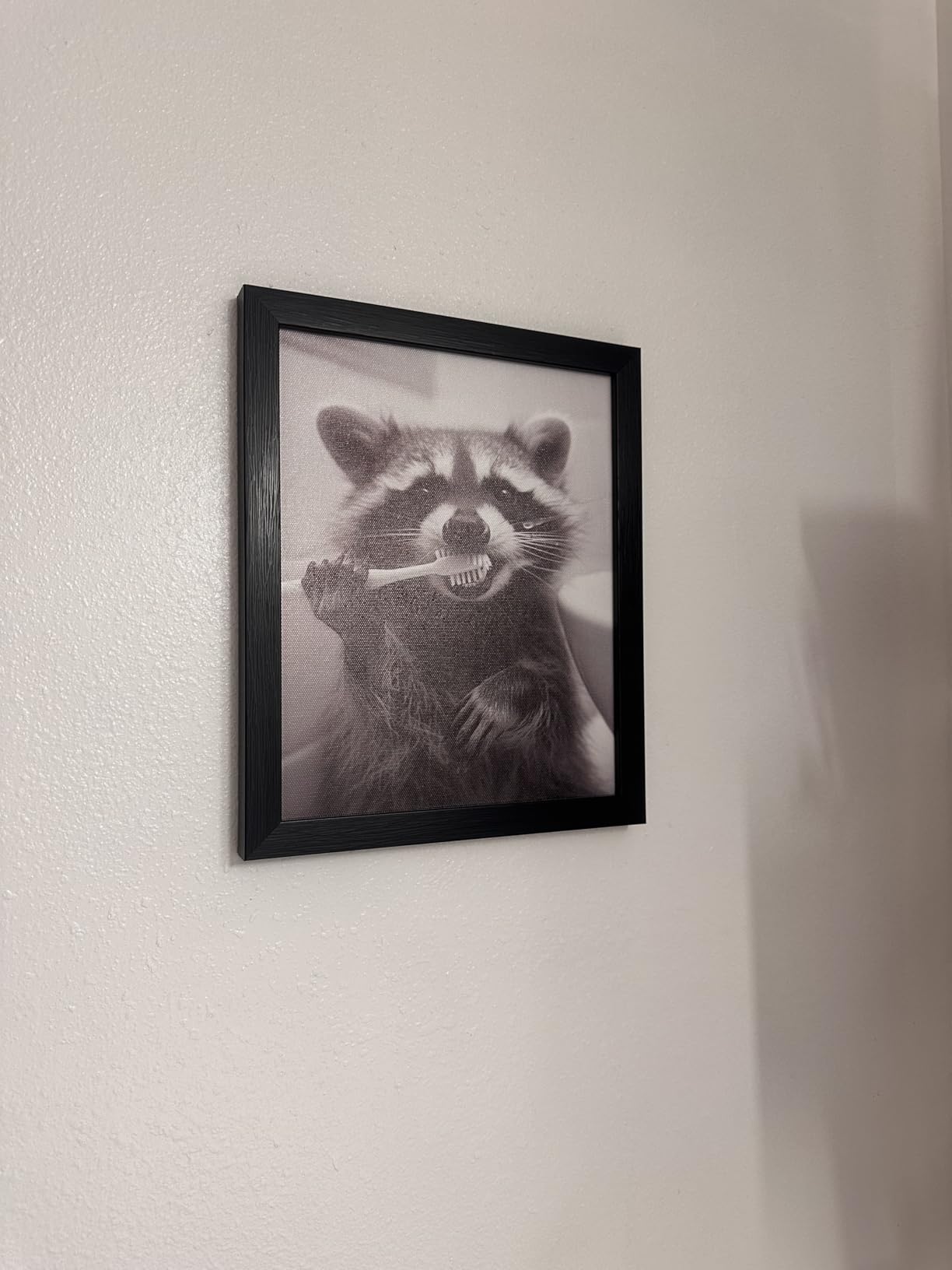 Raccoon Bathroom Art Wall Decor Black And White Animal Picture Funny Raccoon Brushing Teeth Art Farmhouse Framed Prints Painting customer photo 2