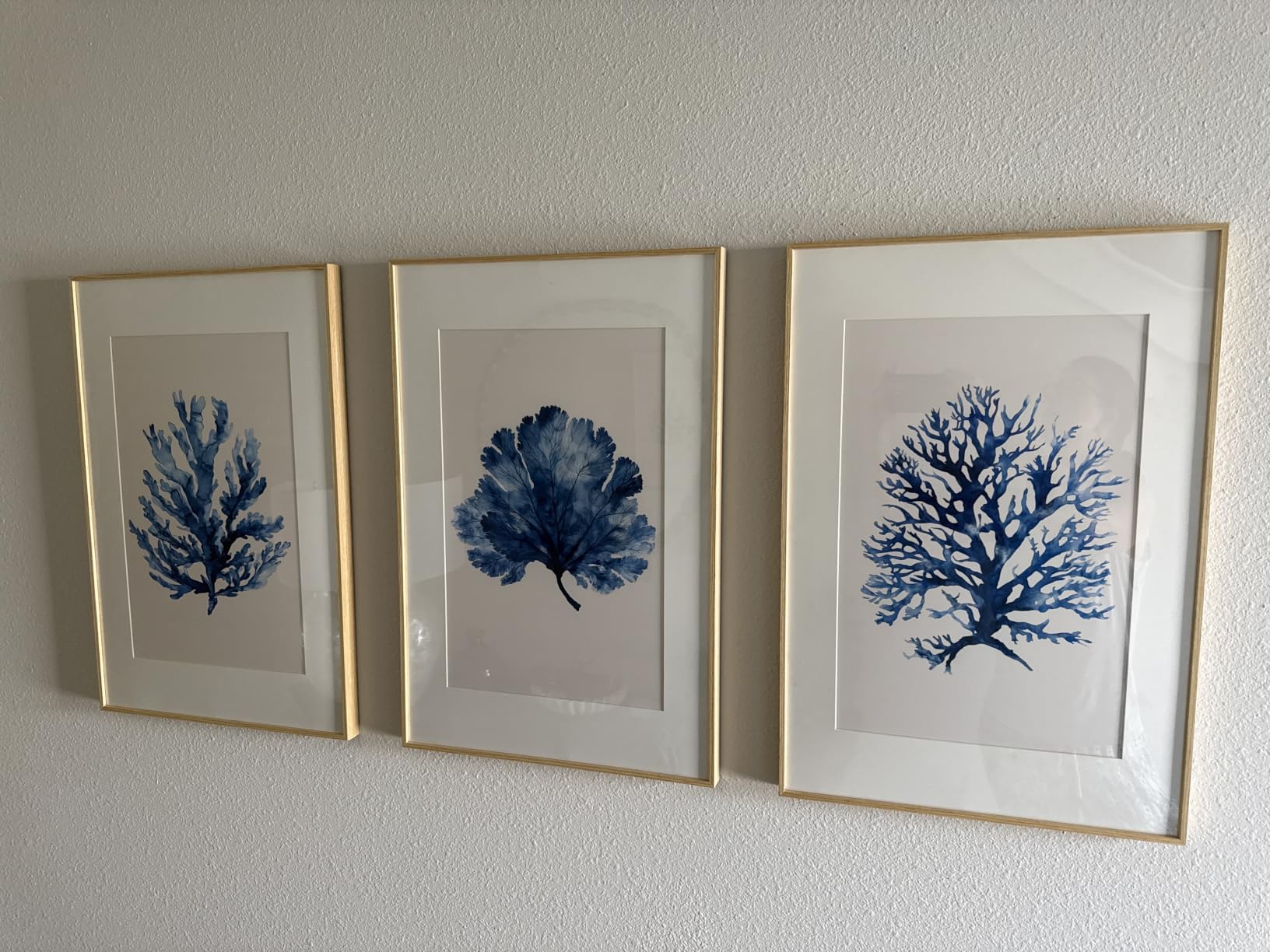 Framed Coastal Coral Wall Art for Living Room, Large Navy Blue Watercolor Coral Artwork for Walls, 3 Piece Minimalist Ocean Beach Marine Plants Pictures Prints for Bedroom Hallway Wall Decor, 16x24 In customer photo 1