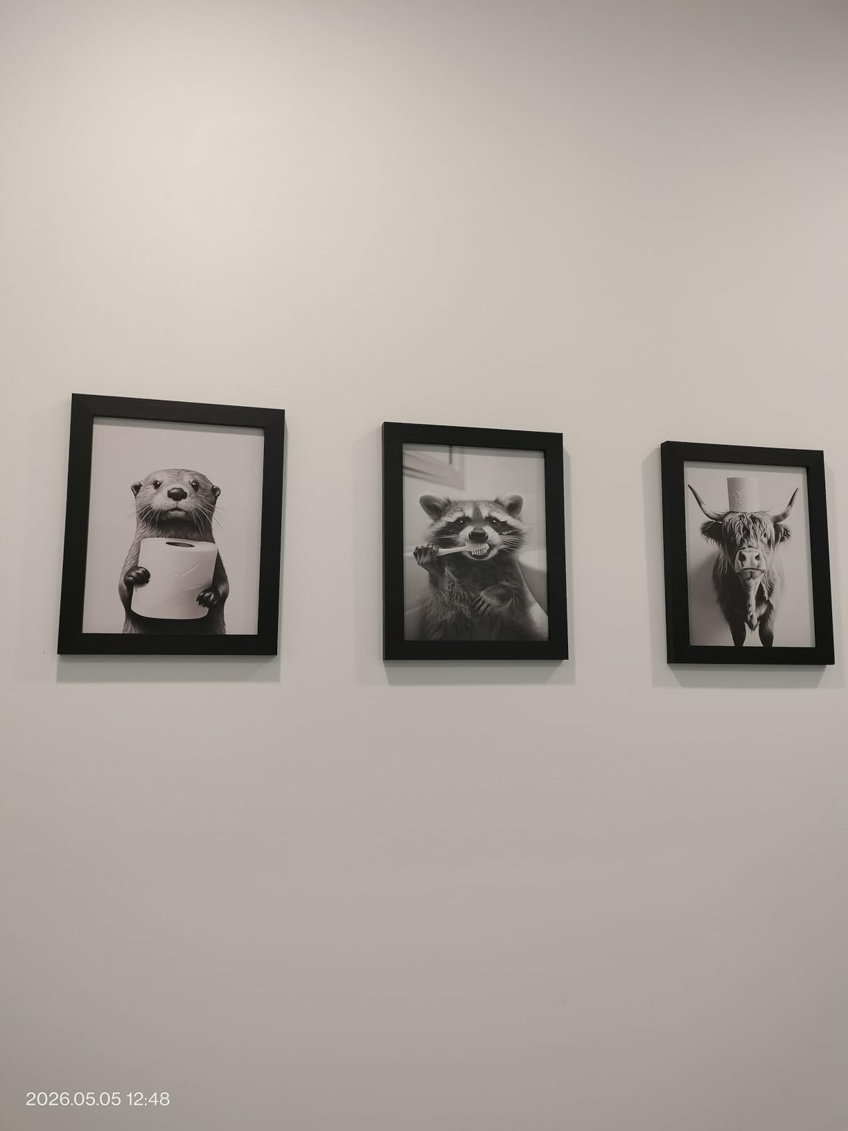 FYLDPSB Funny Bathroom Wall Art Framed Otter Bathroom Pictures Wall Decor | Black and White Canvas Art Cute Animal Paintings Toilet Paper Artwork Modern Humor Prints for Bathroom Bedroom customer photo 1