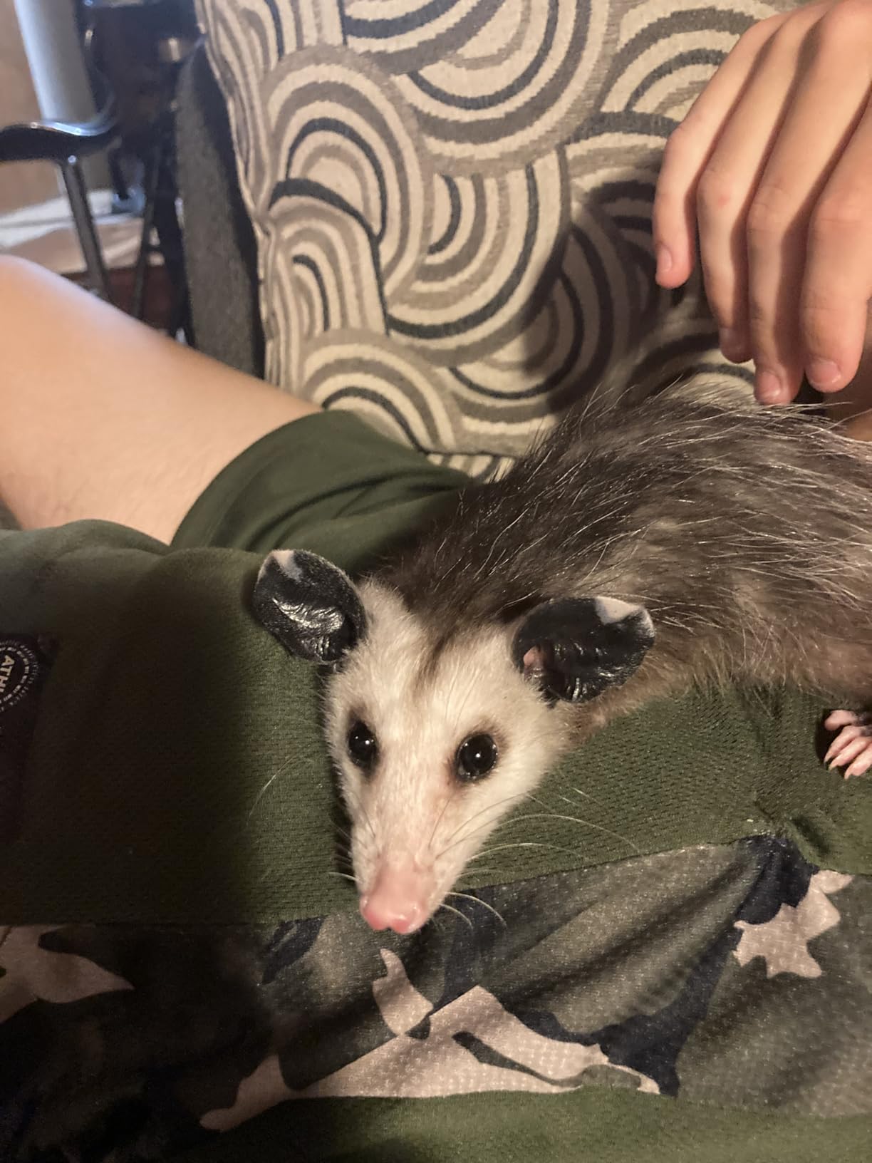 Problem Opossum Enamel Pin, Don't Be A Part Of The Problem Be The Whole Problem Lapel Pin, Funny Sarcastic Opossum Meme Brooch, Sassy Possum Dark Humor Lapel Badge Brooch, Gift For Sassy Sarcastic Person & Trash Eater Lover customer photo 1