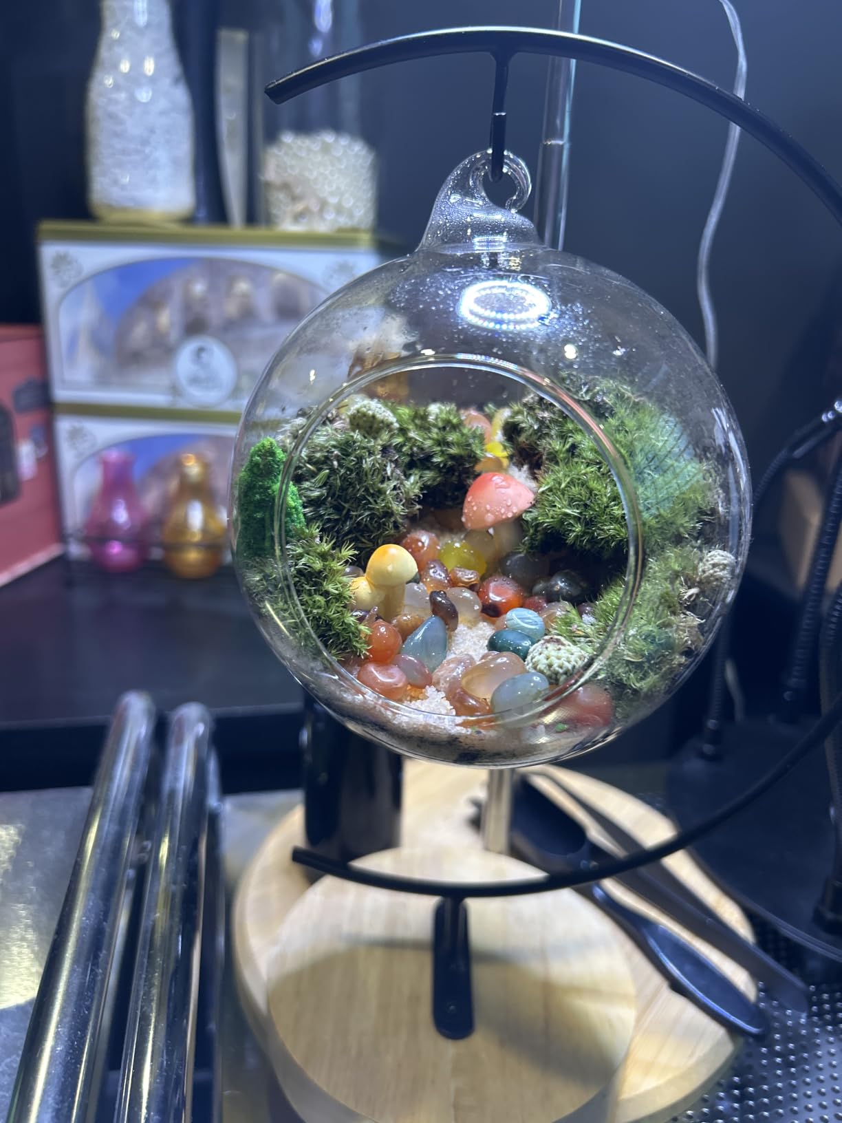 LUCKYRUNES DIY Terrarium Kit with Live Moss, 15-Piece Glass Globe Set with Wooden Stand, Tools, Soil, Stones & Spray Bottle, Indoor Mini Garden Gift for Plant Lovers, Home Desk Decor customer photo 1