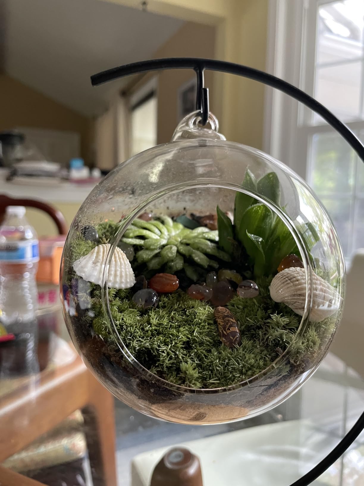 LUCKYRUNES DIY Terrarium Kit with Live Moss, 15-Piece Glass Globe Set with Wooden Stand, Tools, Soil, Stones & Spray Bottle, Indoor Mini Garden Gift for Plant Lovers, Home Desk Decor customer photo 2