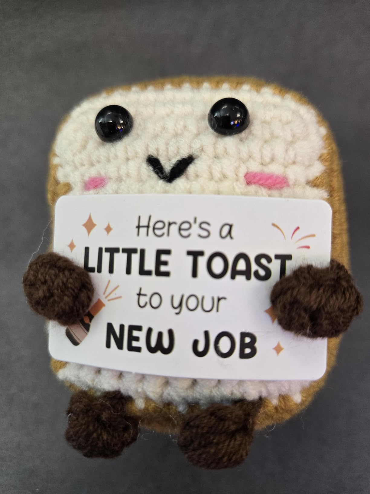 A Little Toast to Your New Home - Mini Handmade Crochet Toast, Funny Housewarming Gifts New Home New Apartment, House Warming Gifts New House for Women Men Friend customer photo 2