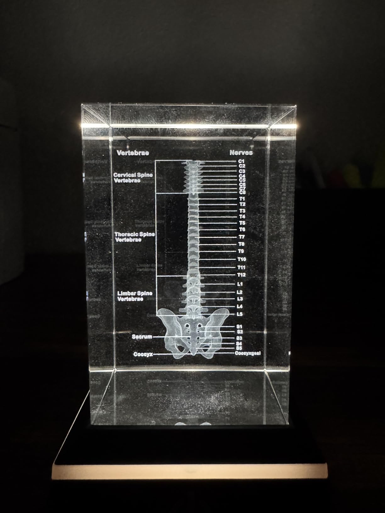 Movdyka 3D Crystal DNA Model Helix Desk Decor Night Light Gift for Teachers | Unique Science DNA Gift for Biology Lovers Phd Graduates Laser Etched Glass DNA Sculpture Paperweight Art customer photo 1