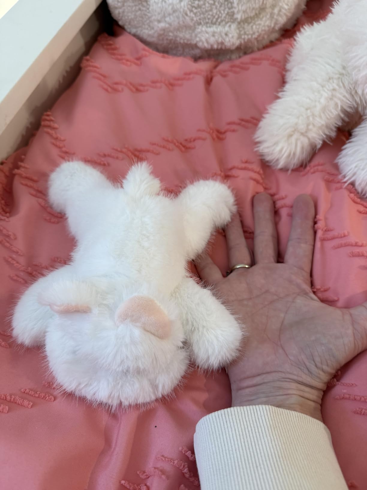 Adorable Red Panda Stuffed Animal Soft Birthday Gifts for Kids | Cute Plush Toy Pocket-Sized Stuffed Red Panda for Boys Girls Adults Christmas Birthday Gifts Desk Decor customer photo 2