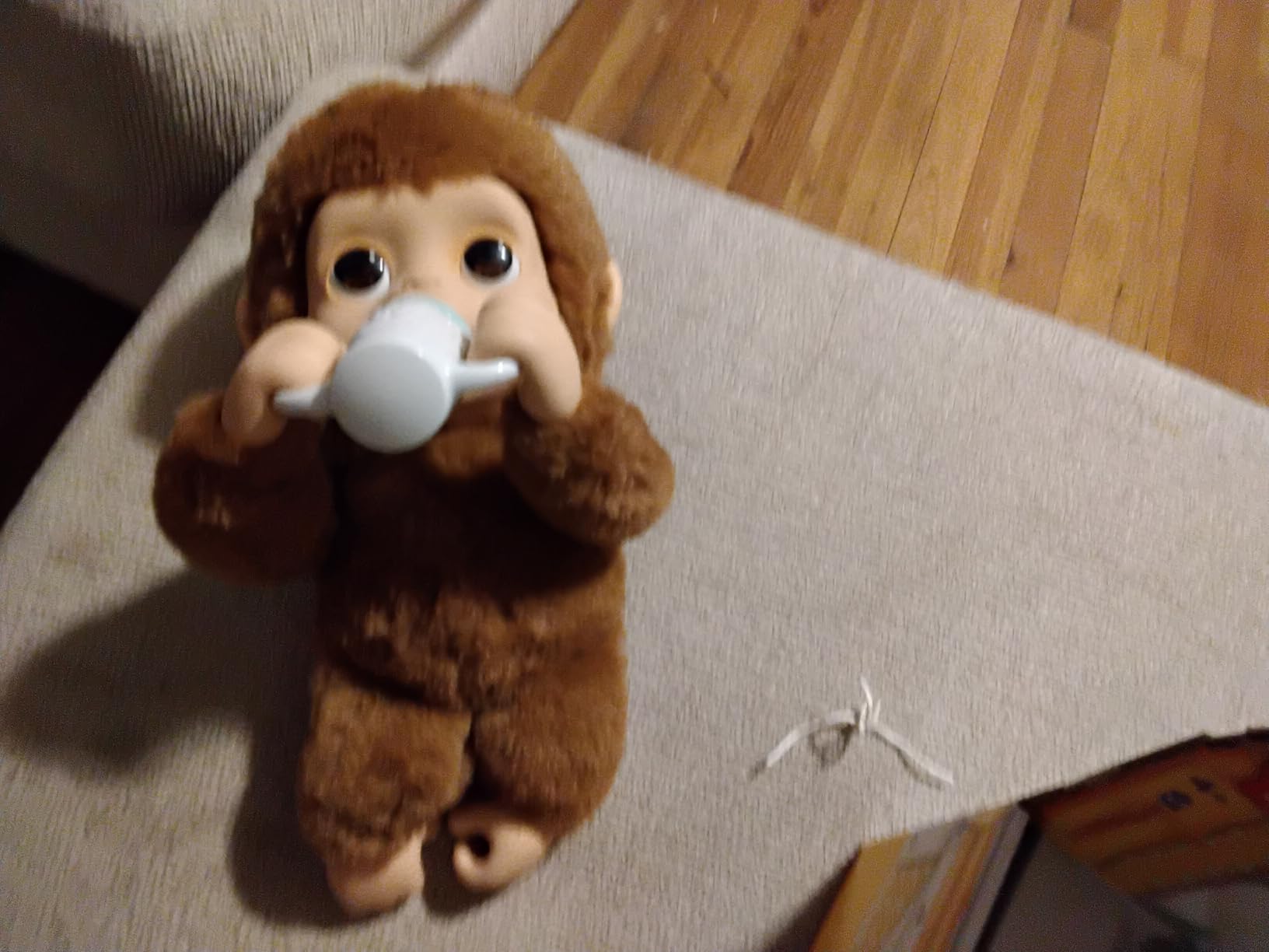 LITTLE LIVE PETS My Baby Koala Kiki, Koala Stuffed Animal | Interactive plush with 40+ sounds and reactions, blinking eyes, yawning, and a 2-in-1 eucalyptus leaf teether customer photo 2